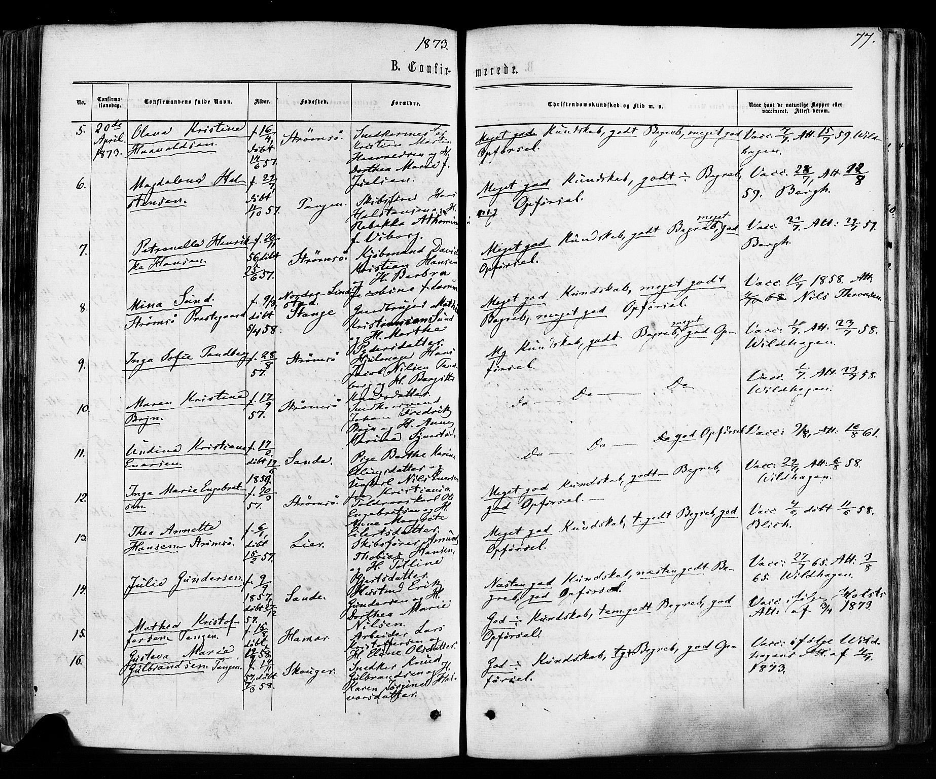 Strømsø kirkebøker, AV/SAKO-A-246/F/Fa/L0018: Parish register (official) no. I 18, 1865-1878, p. 77