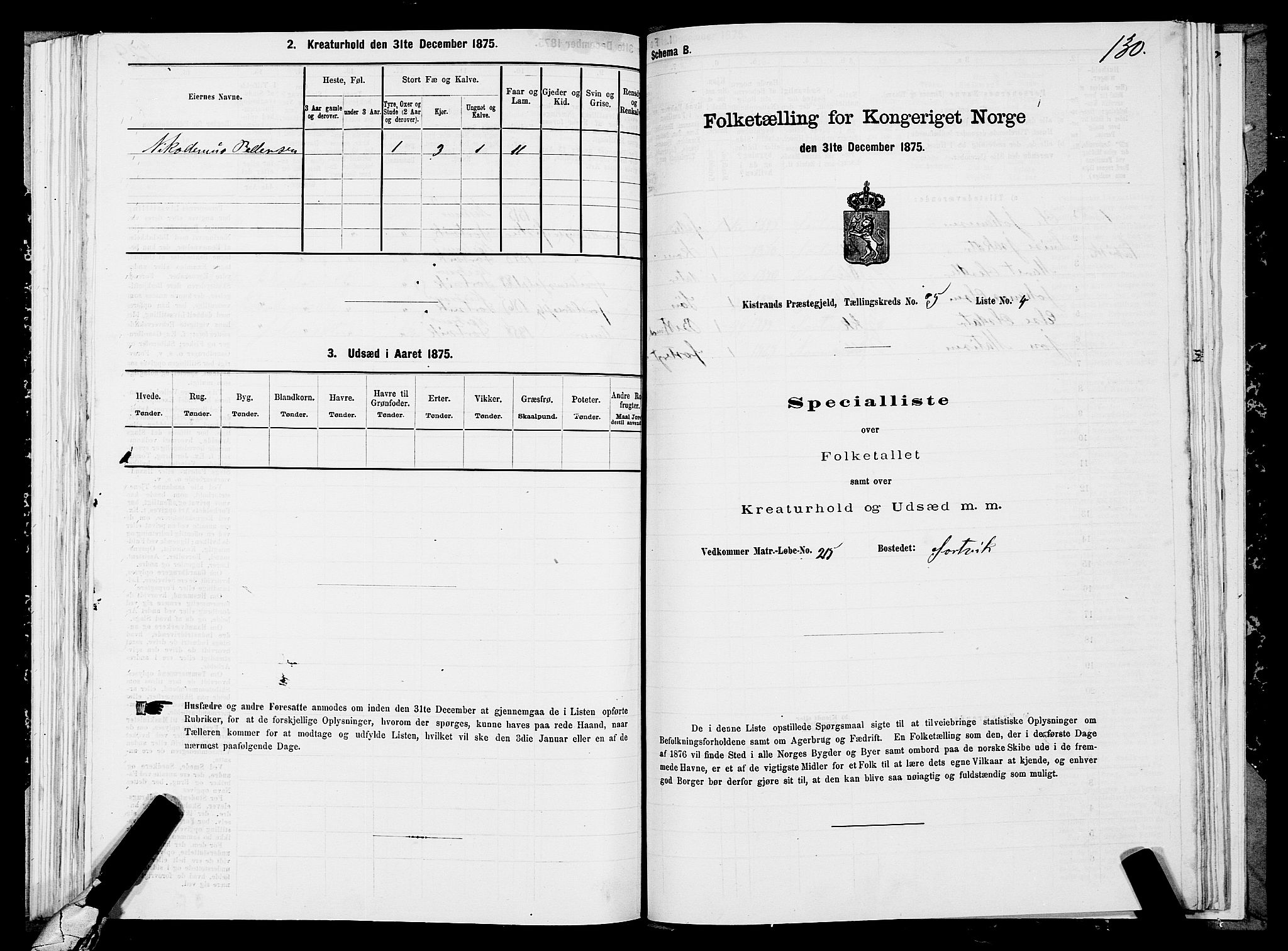 SATØ, 1875 census for 2020P Kistrand, 1875, p. 2130