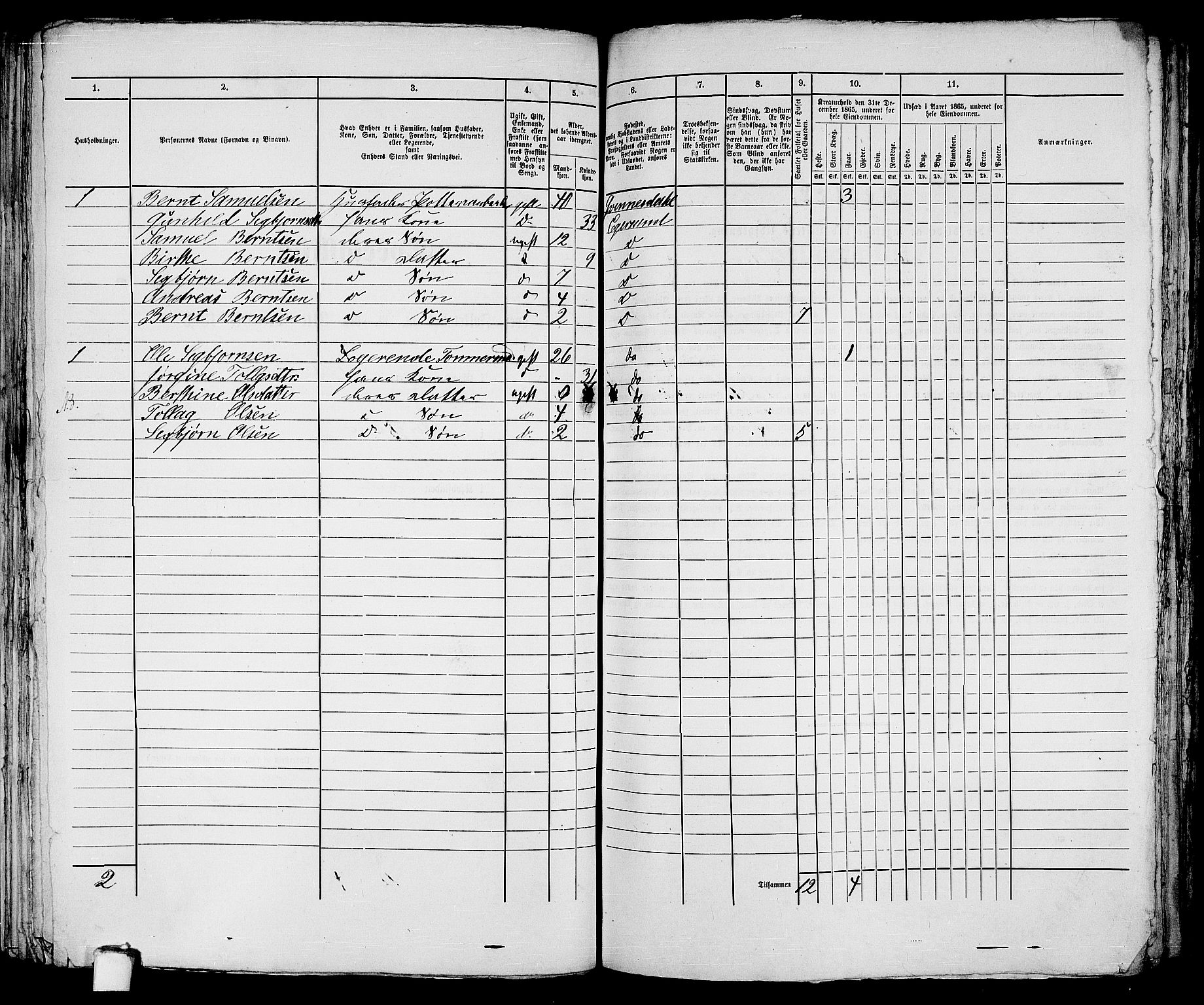 RA, 1865 census for Eigersund parish, Egersund town, 1865, p. 290