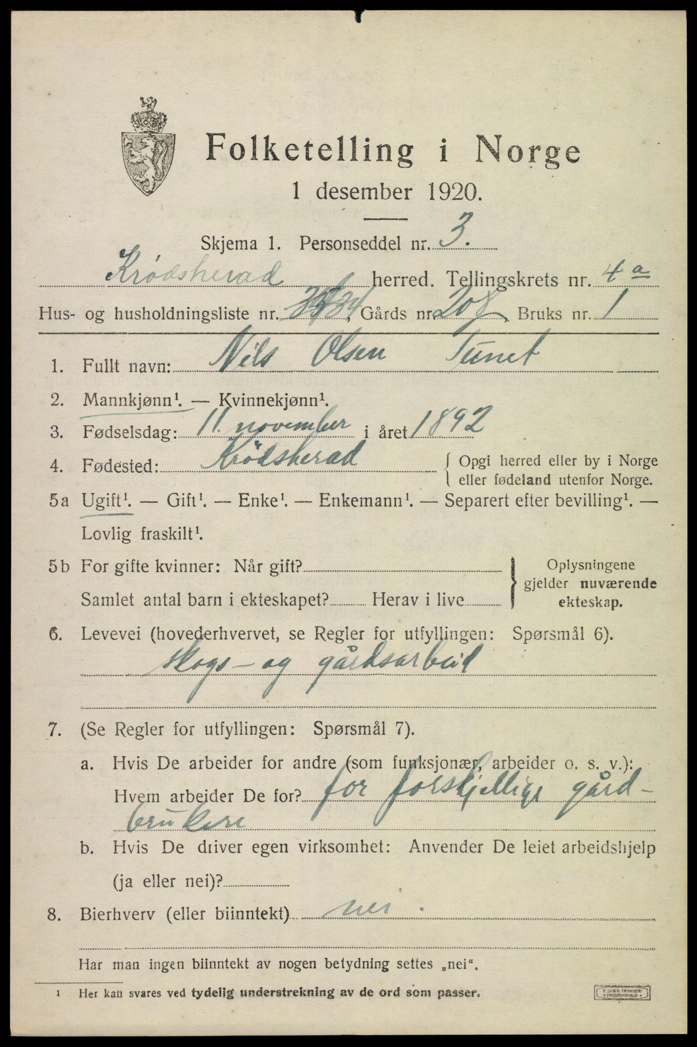 SAKO, 1920 census for Krødsherad, 1920, p. 4941