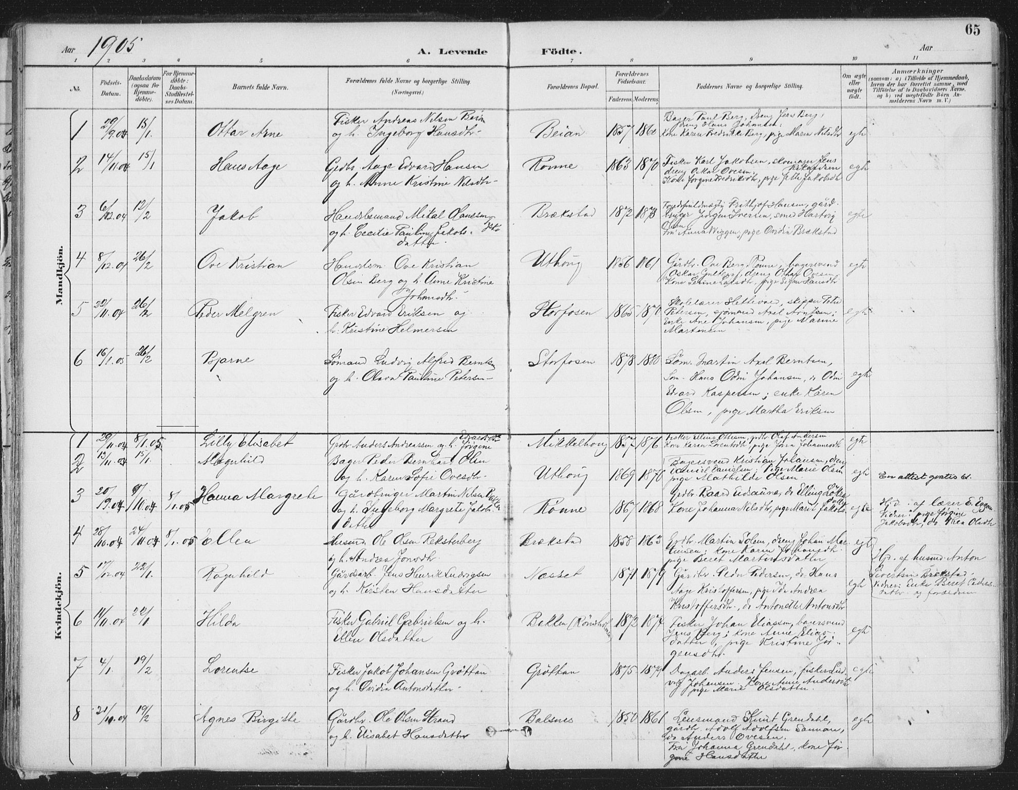 Ministerialprotokoller, klokkerbøker og fødselsregistre - Sør-Trøndelag, SAT/A-1456/659/L0743: Parish register (official) no. 659A13, 1893-1910, p. 65