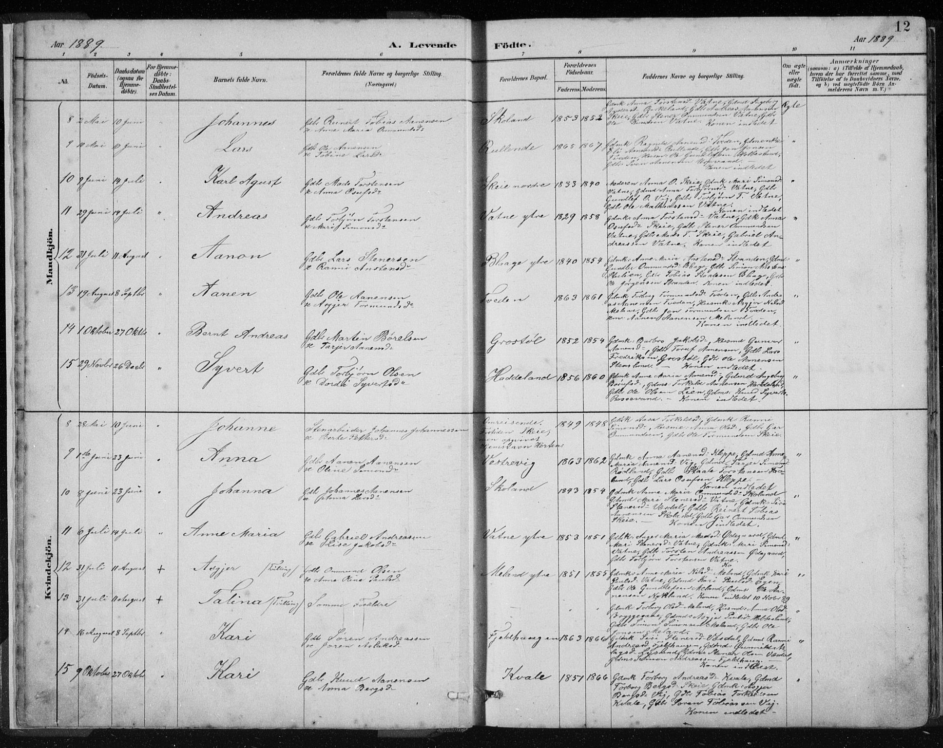 Hægebostad sokneprestkontor, AV/SAK-1111-0024/F/Fb/Fbb/L0003: Parish register (copy) no. B 3, 1887-1937, p. 12