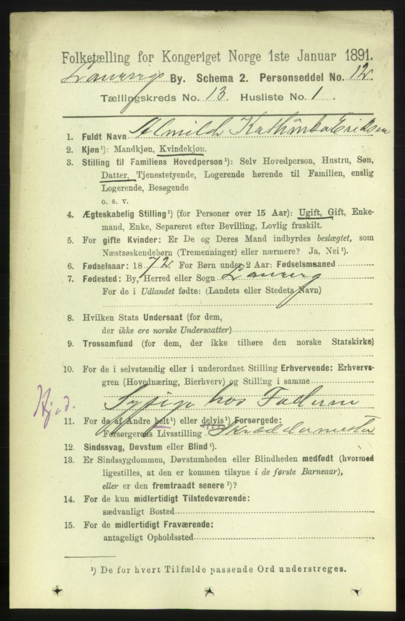 RA, 1891 census for 0707 Larvik, 1891, p. 10496