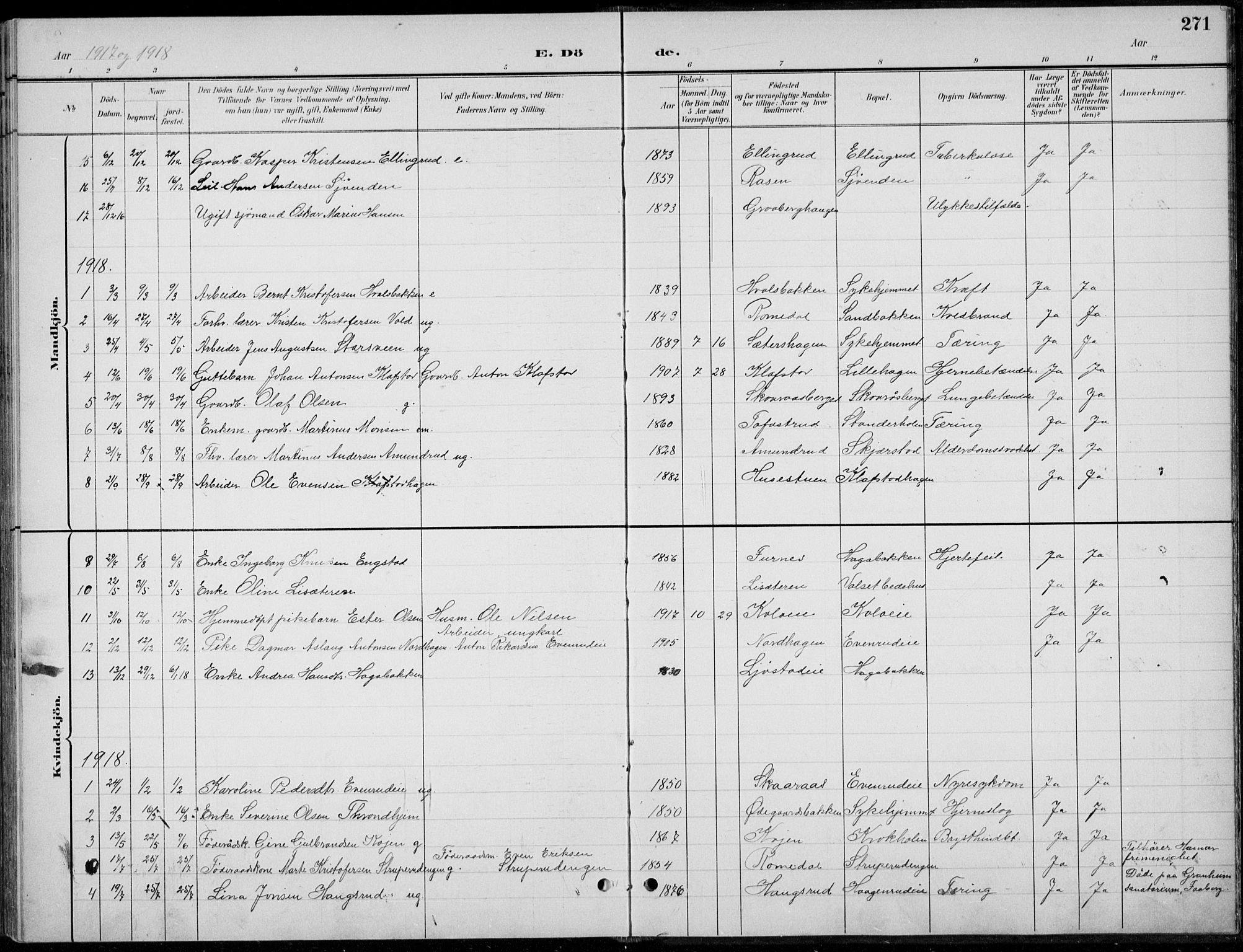 Romedal prestekontor, AV/SAH-PREST-004/L/L0013: Parish register (copy) no. 13, 1896-1937, p. 271