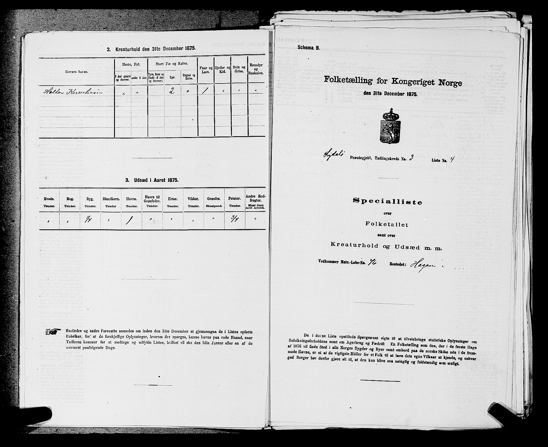 SAKO, 1875 census for 0621P Sigdal, 1875, p. 429