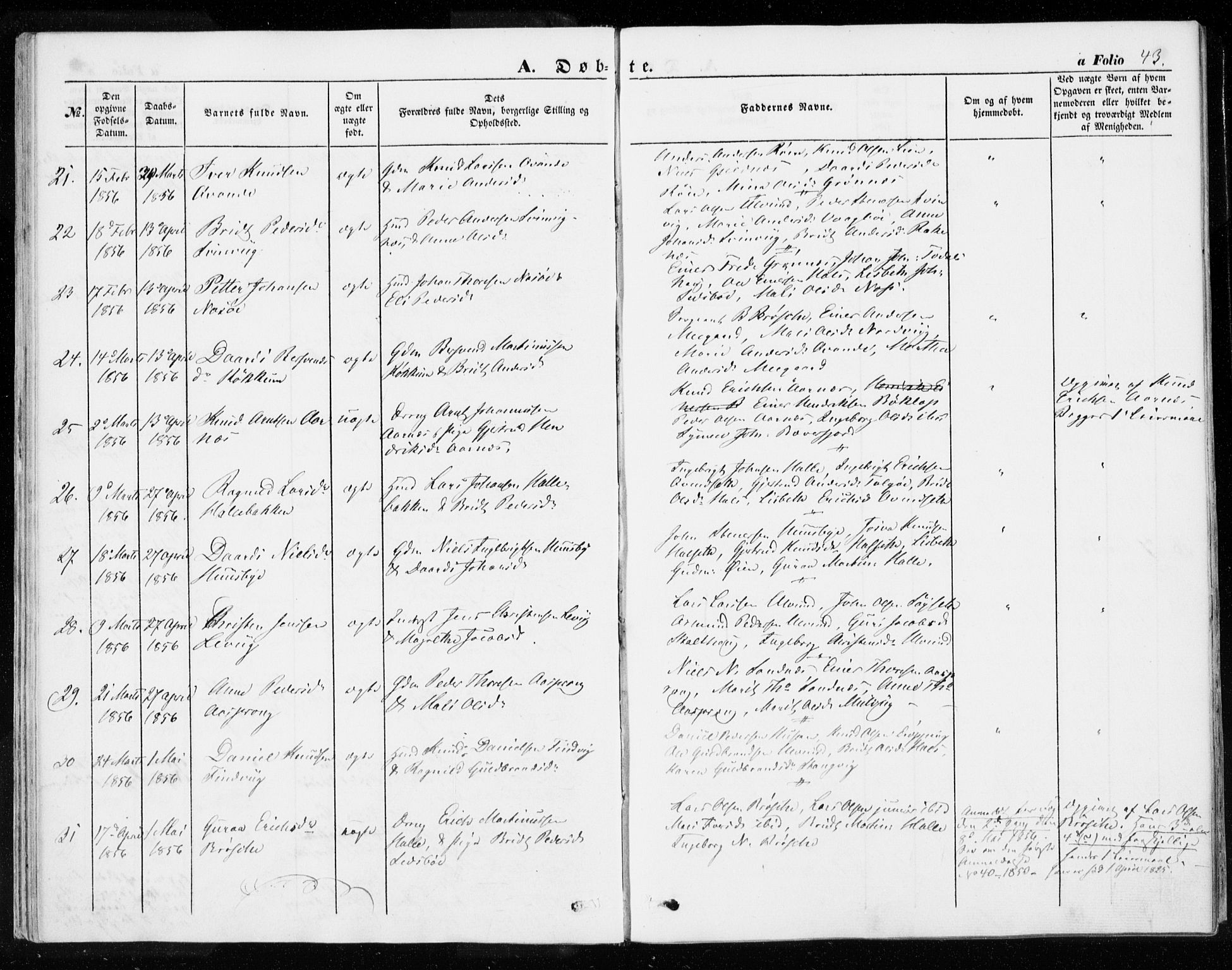 Ministerialprotokoller, klokkerbøker og fødselsregistre - Møre og Romsdal, AV/SAT-A-1454/592/L1026: Parish register (official) no. 592A04, 1849-1867, p. 43