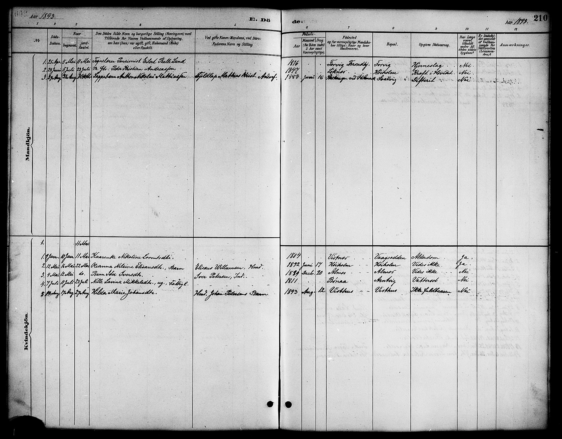 Ministerialprotokoller, klokkerbøker og fødselsregistre - Nordland, AV/SAT-A-1459/819/L0277: Parish register (copy) no. 819C03, 1888-1917, p. 210