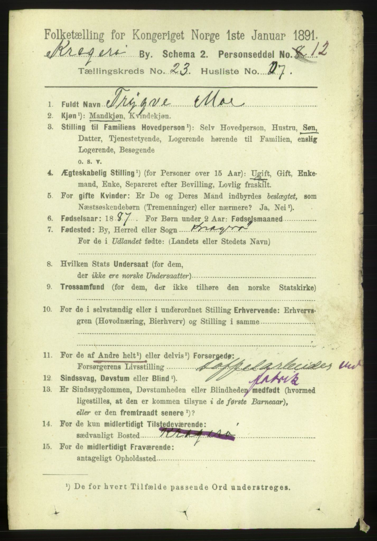 RA, 1891 census for 0801 Kragerø, 1891, p. 4973