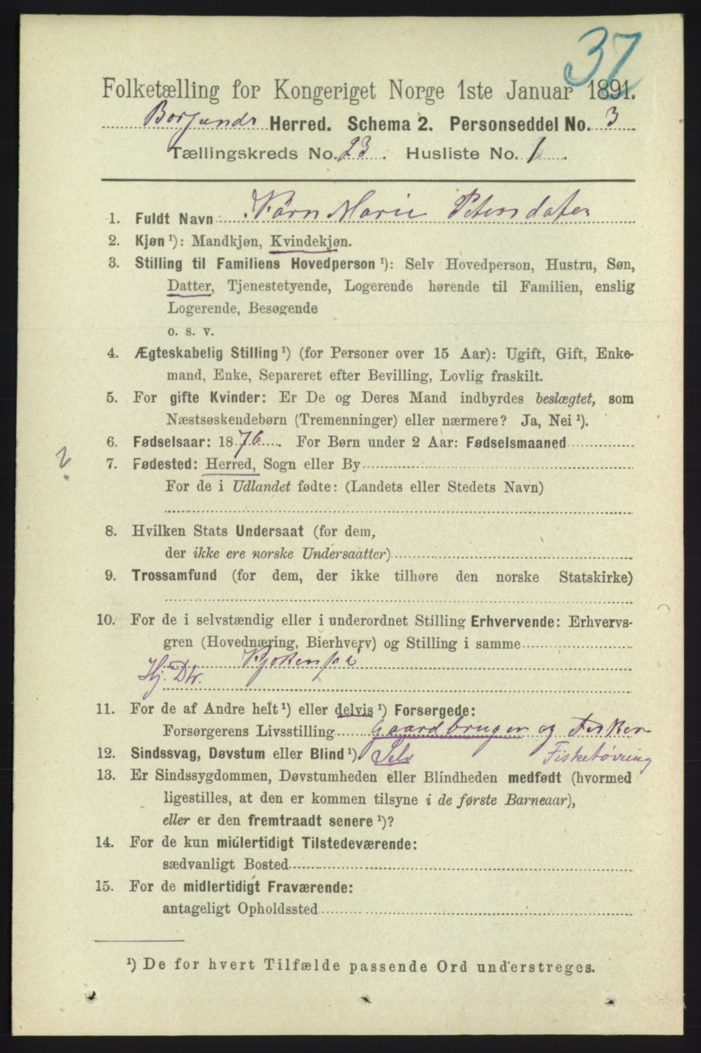 RA, 1891 census for 1531 Borgund, 1891, p. 6966