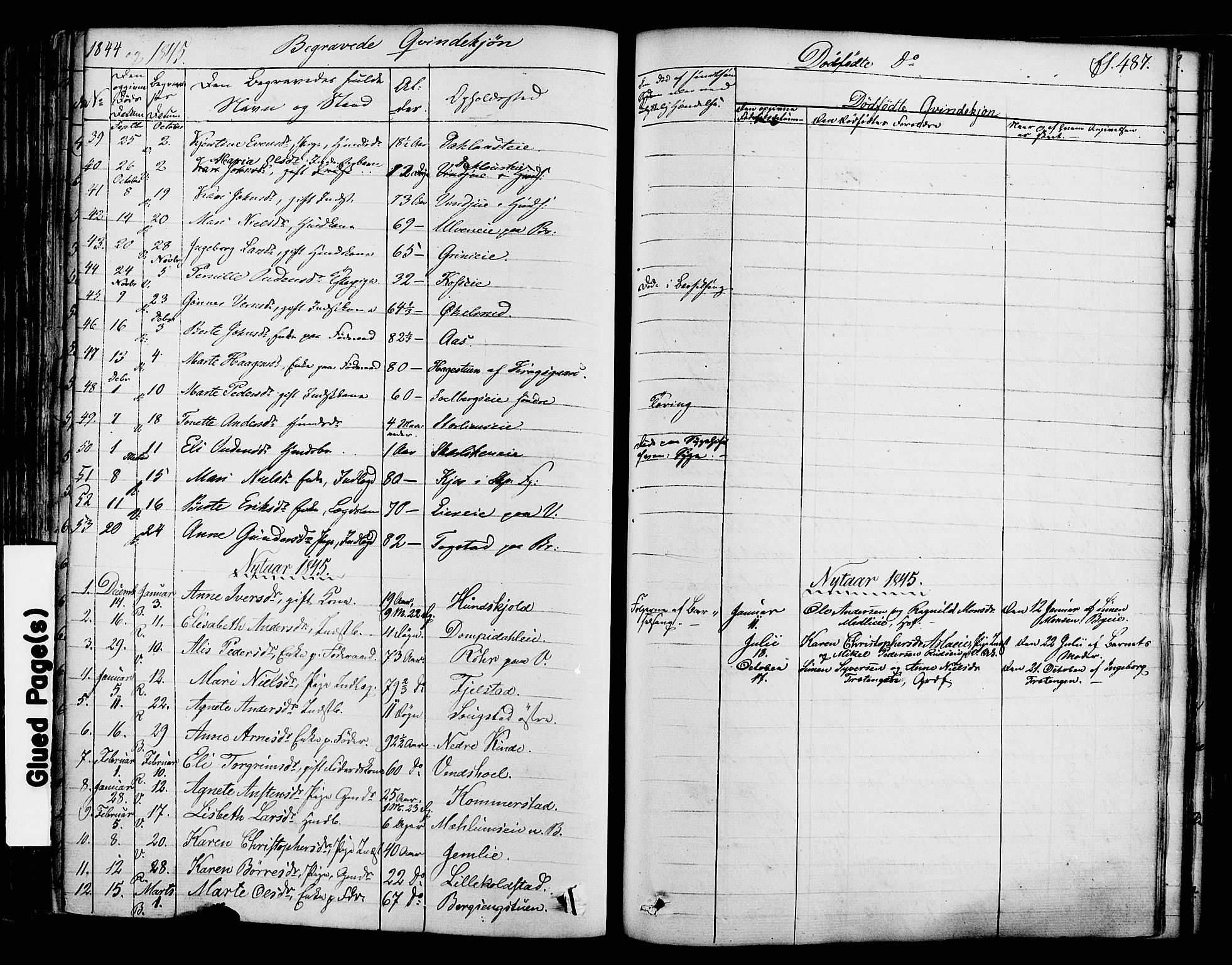 Ringsaker prestekontor, SAH/PREST-014/K/Ka/L0008: Parish register (official) no. 8, 1837-1850, p. 487