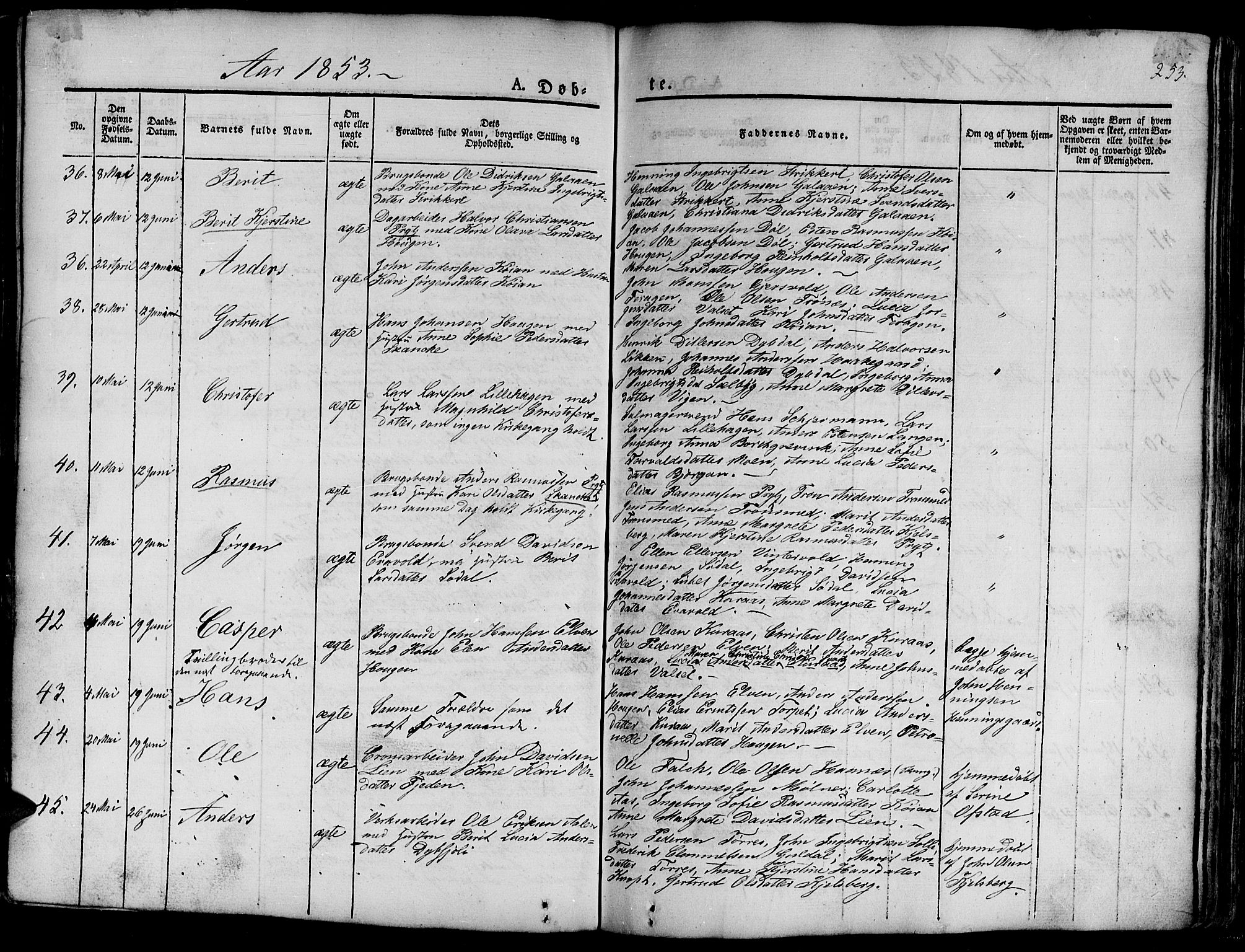 Ministerialprotokoller, klokkerbøker og fødselsregistre - Sør-Trøndelag, AV/SAT-A-1456/681/L0938: Parish register (copy) no. 681C02, 1829-1879, p. 253