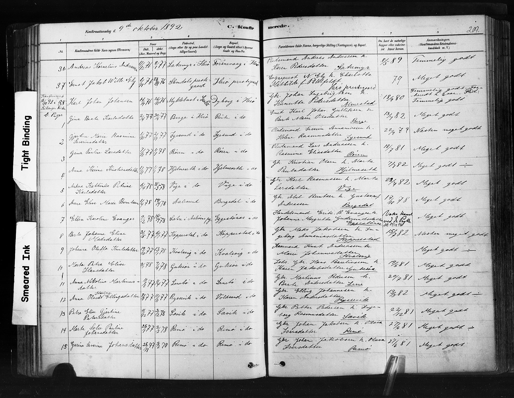 Ministerialprotokoller, klokkerbøker og fødselsregistre - Møre og Romsdal, SAT/A-1454/507/L0073: Parish register (official) no. 507A08, 1878-1904, p. 209
