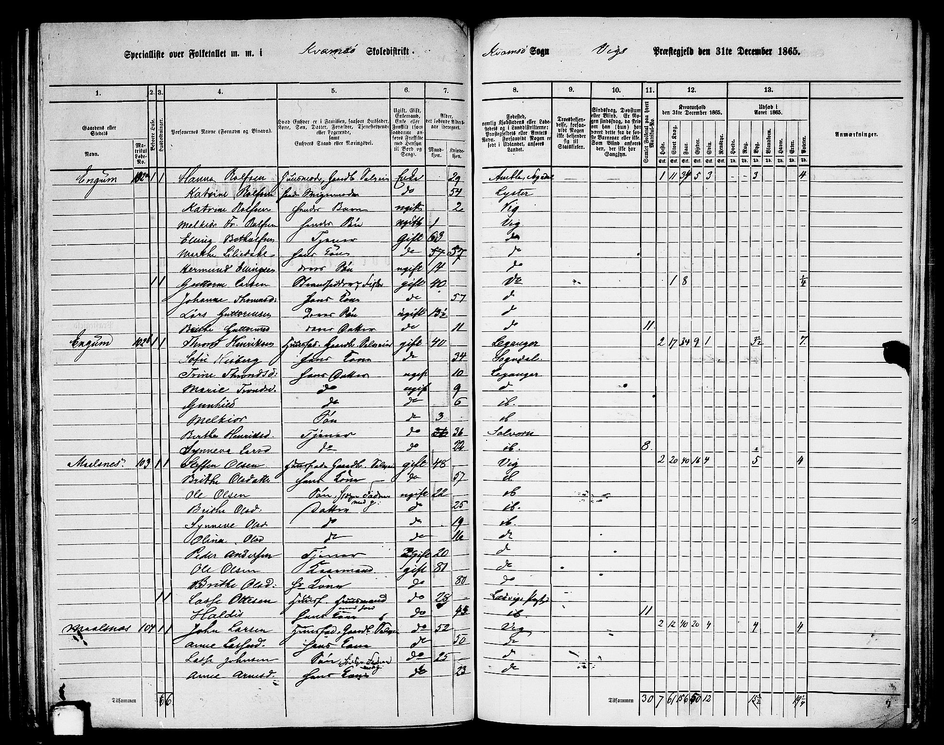 RA, 1865 census for Vik, 1865, p. 134