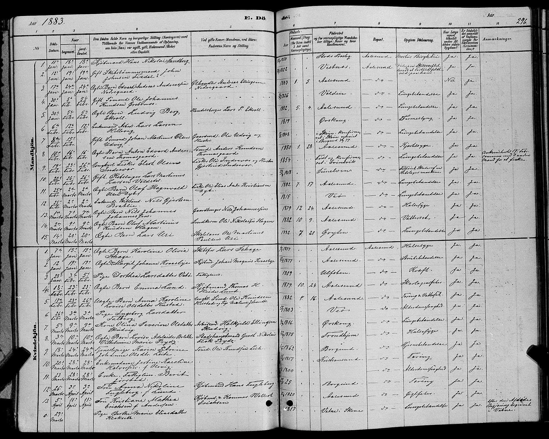 Ministerialprotokoller, klokkerbøker og fødselsregistre - Møre og Romsdal, AV/SAT-A-1454/529/L0466: Parish register (copy) no. 529C03, 1878-1888, p. 296