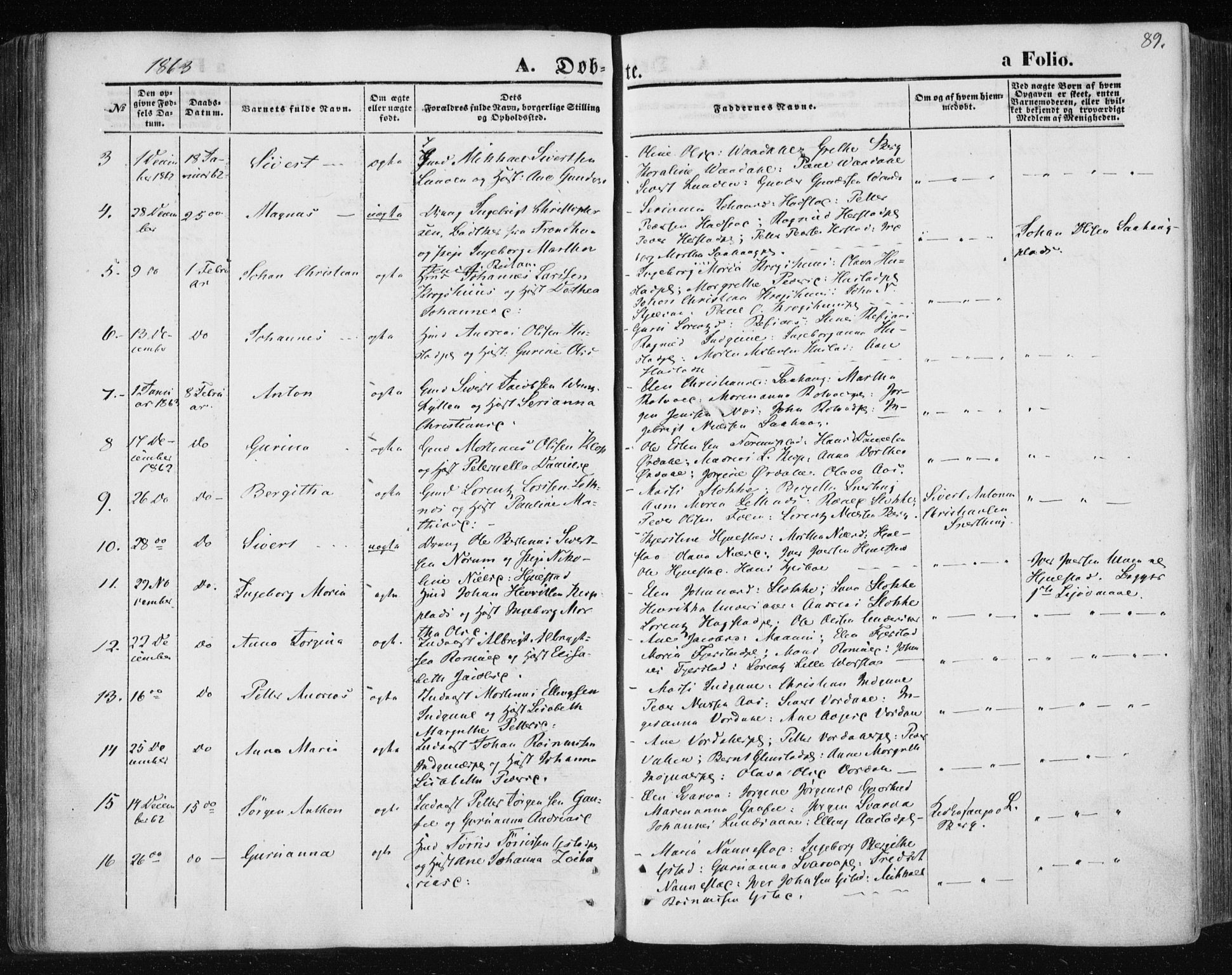 Ministerialprotokoller, klokkerbøker og fødselsregistre - Nord-Trøndelag, AV/SAT-A-1458/730/L0283: Parish register (official) no. 730A08, 1855-1865, p. 89