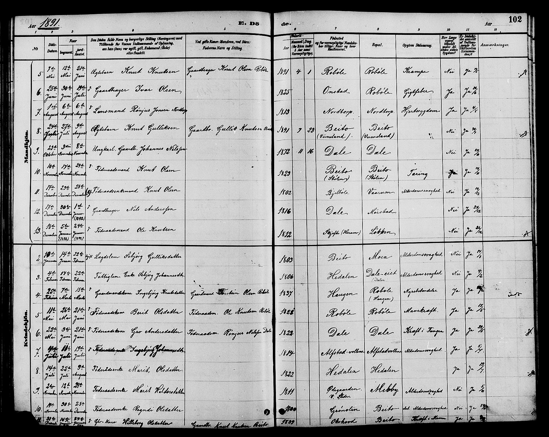 Øystre Slidre prestekontor, SAH/PREST-138/H/Ha/Hab/L0004: Parish register (copy) no. 4, 1887-1907, p. 102