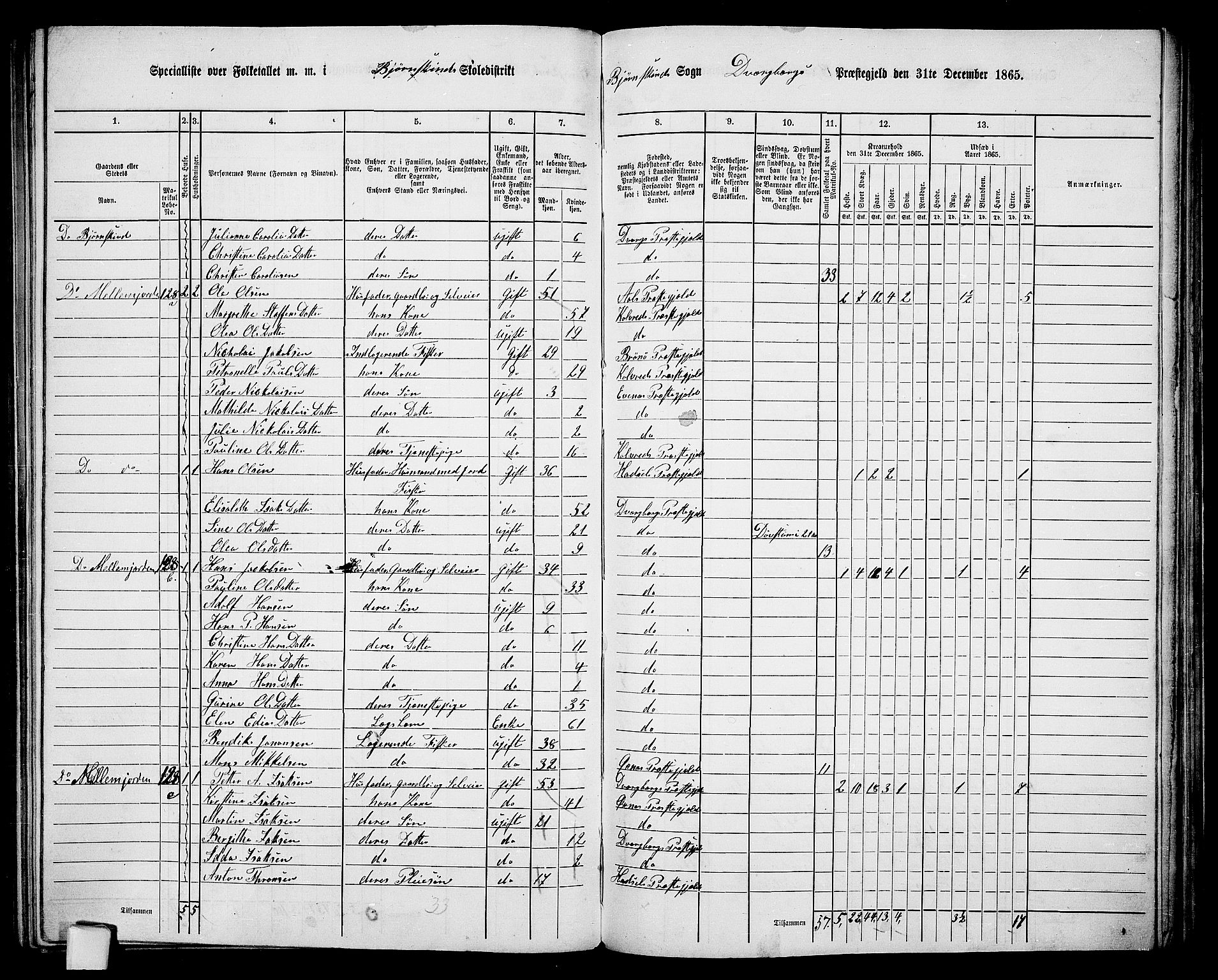 RA, 1865 census for Dverberg, 1865, p. 31