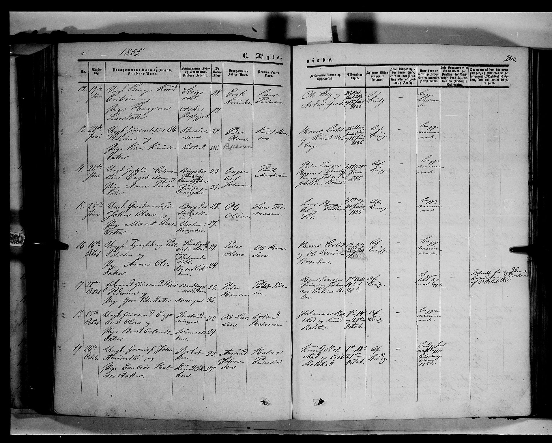 Sør-Fron prestekontor, AV/SAH-PREST-010/H/Ha/Haa/L0001: Parish register (official) no. 1, 1849-1863, p. 260