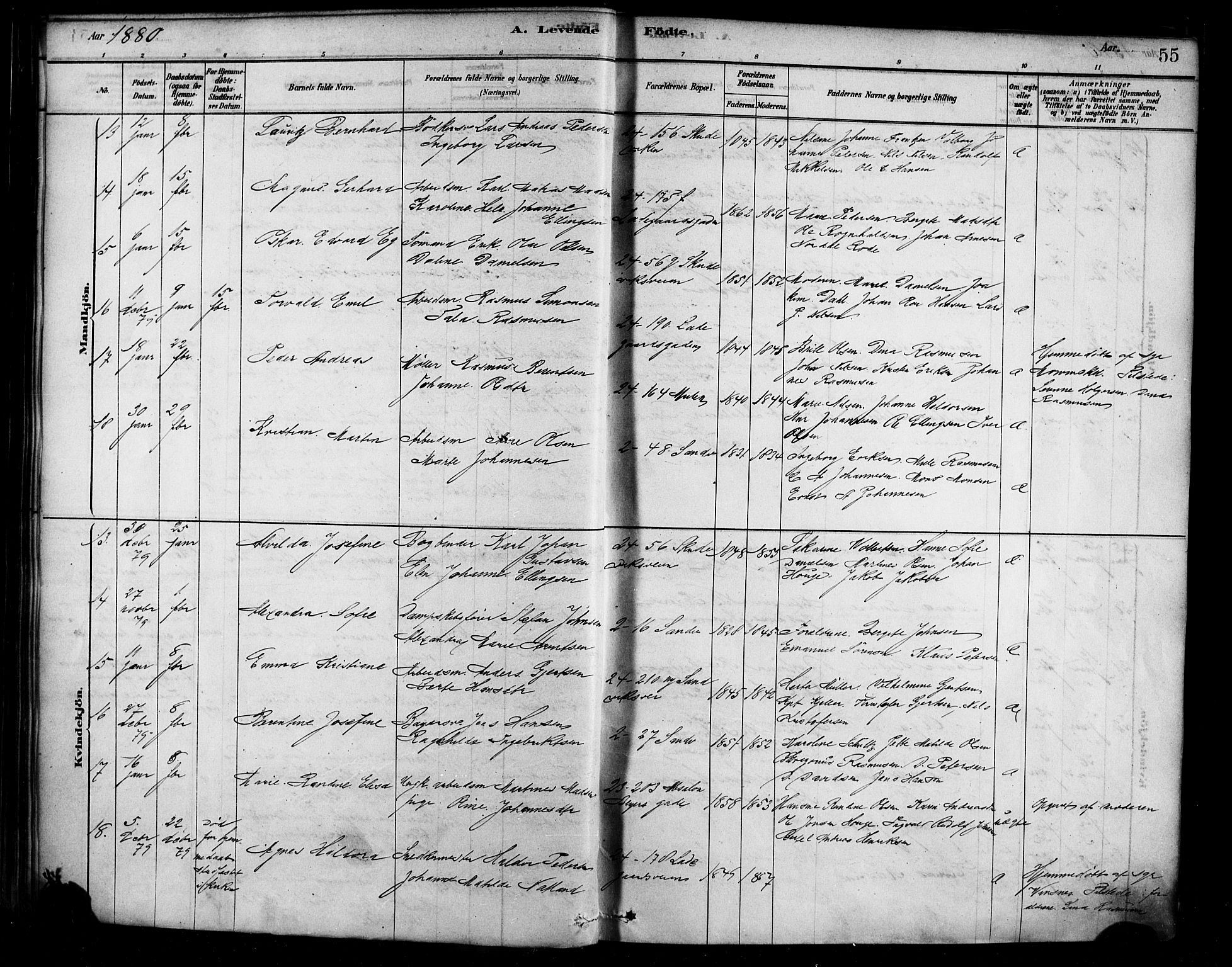 Sandviken Sokneprestembete, AV/SAB-A-77601/H/Ha/L0004: Parish register (official) no. B 1, 1878-1891, p. 55