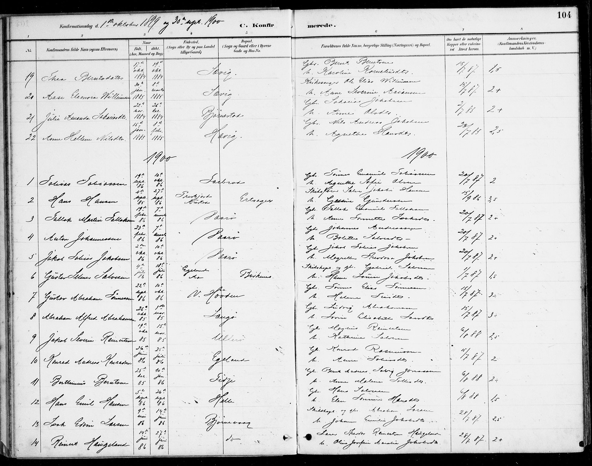 Herad sokneprestkontor, AV/SAK-1111-0018/F/Fa/Fab/L0005: Parish register (official) no. A 5, 1886-1913, p. 104