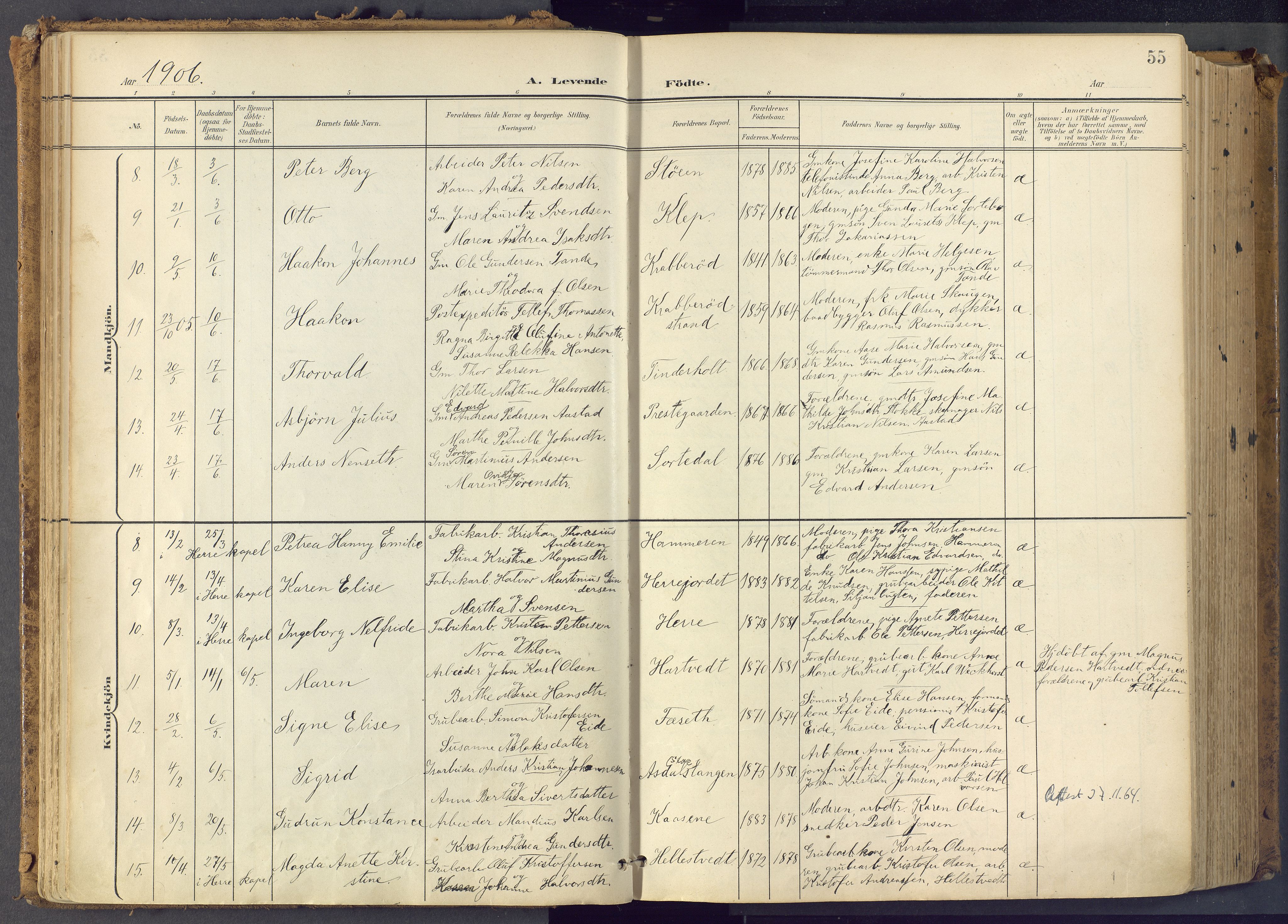 Bamble kirkebøker, SAKO/A-253/F/Fa/L0009: Parish register (official) no. I 9, 1901-1917, p. 55