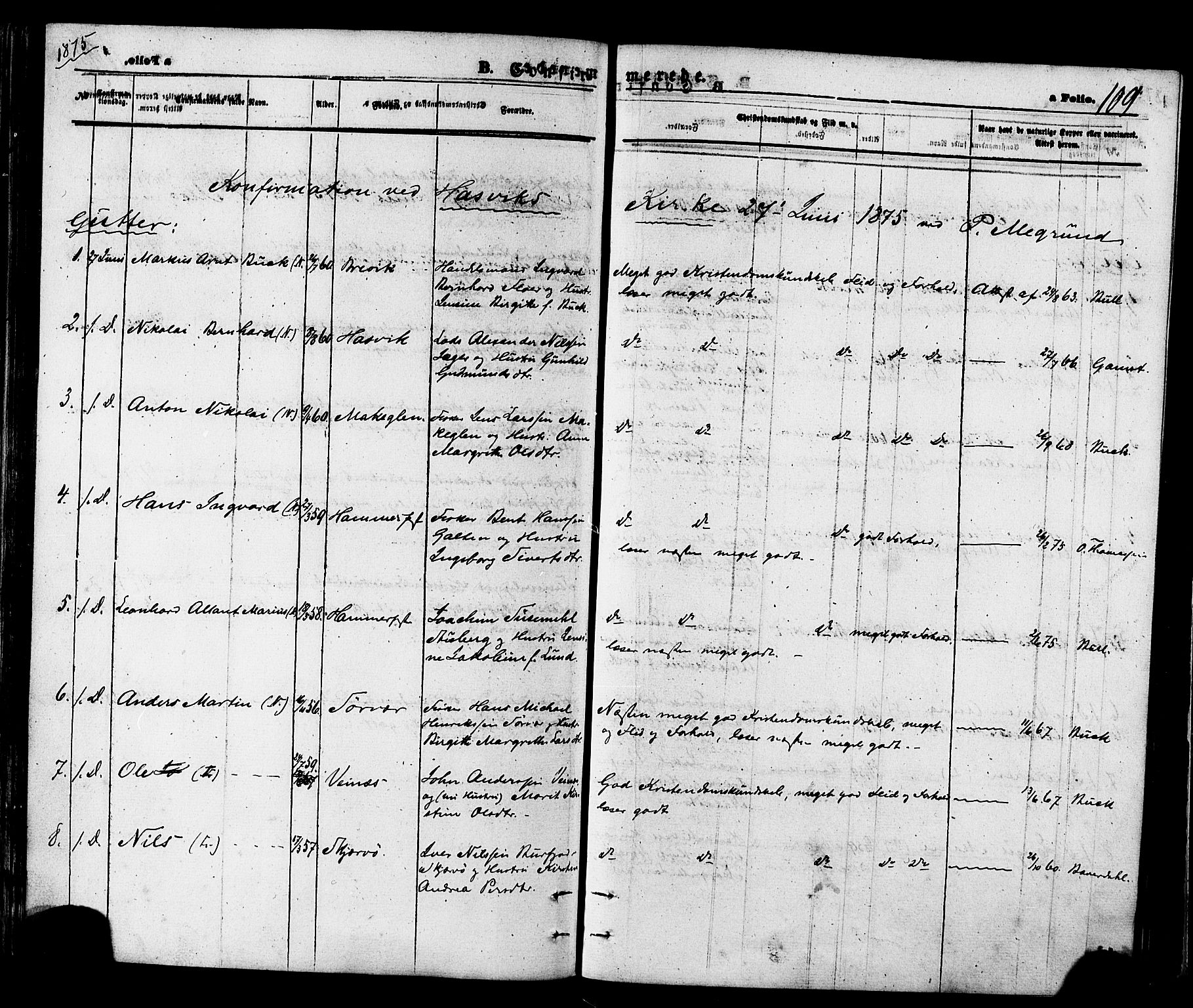 Loppa sokneprestkontor, SATØ/S-1339/H/Ha/L0005kirke: Parish register (official) no. 5, 1869-1878, p. 109