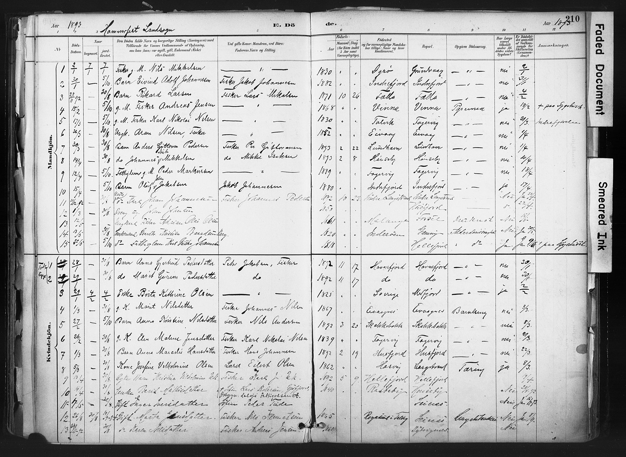 Hammerfest sokneprestkontor, SATØ/S-1347: Parish register (official) no. 11 /1, 1885-1897, p. 210