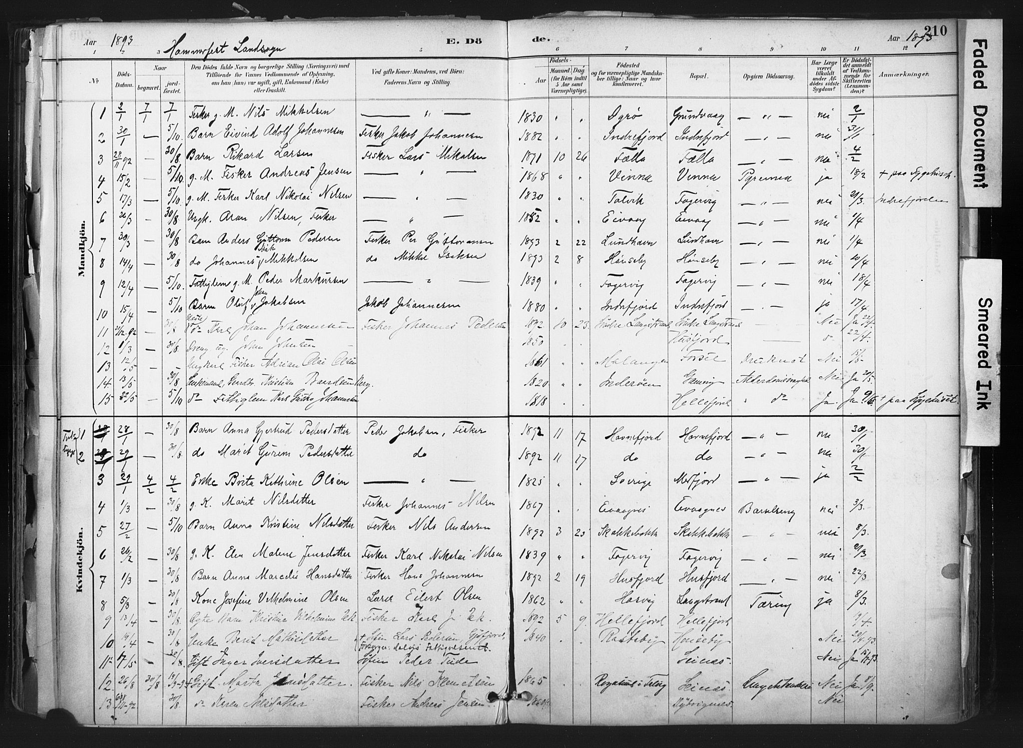 Hammerfest sokneprestkontor, AV/SATØ-S-1347/H/Ha/L0011.kirke: Parish register (official) no. 11 /1, 1885-1897, p. 210