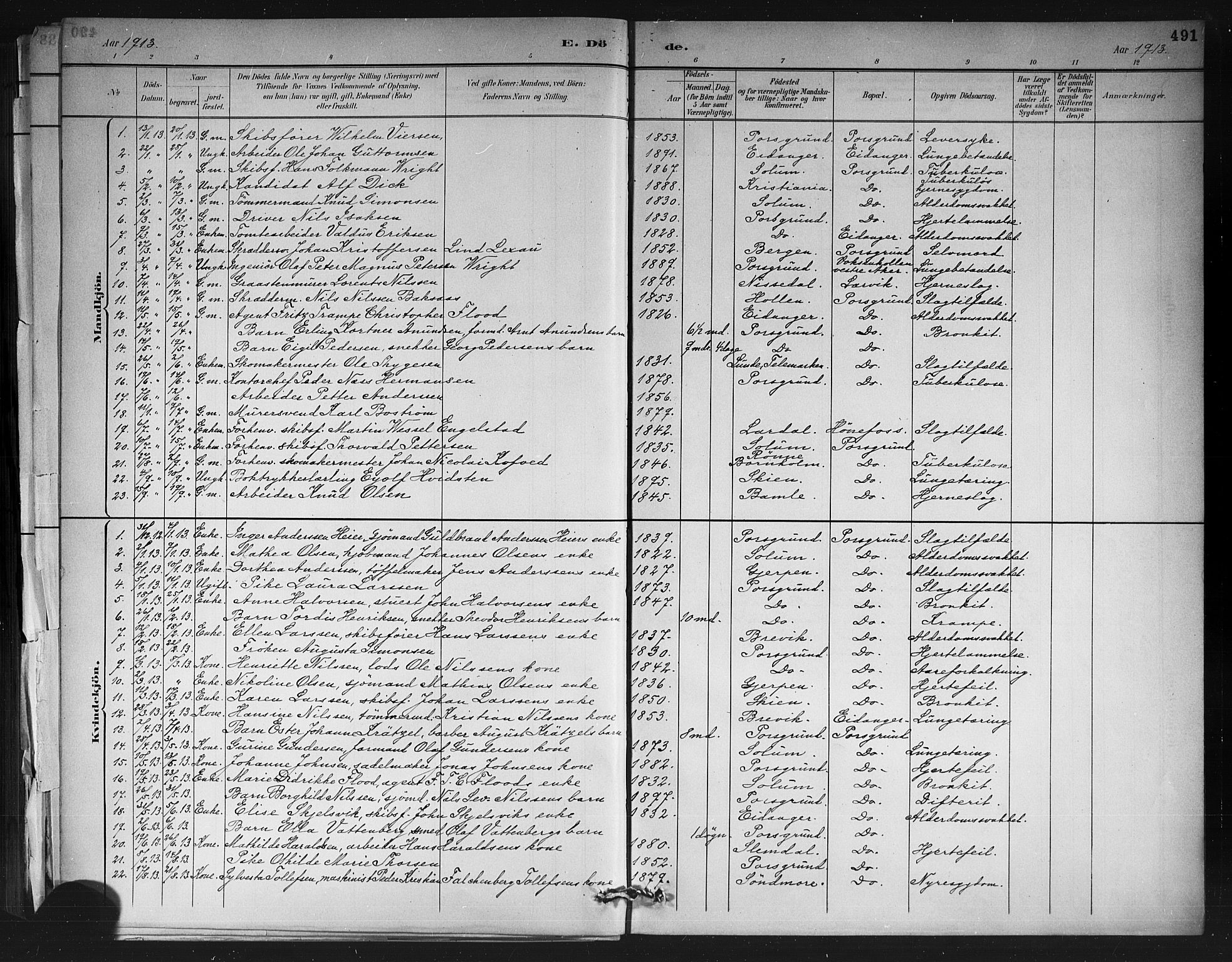 Porsgrunn kirkebøker , AV/SAKO-A-104/G/Gb/L0005: Parish register (copy) no. II 5, 1883-1915, p. 491