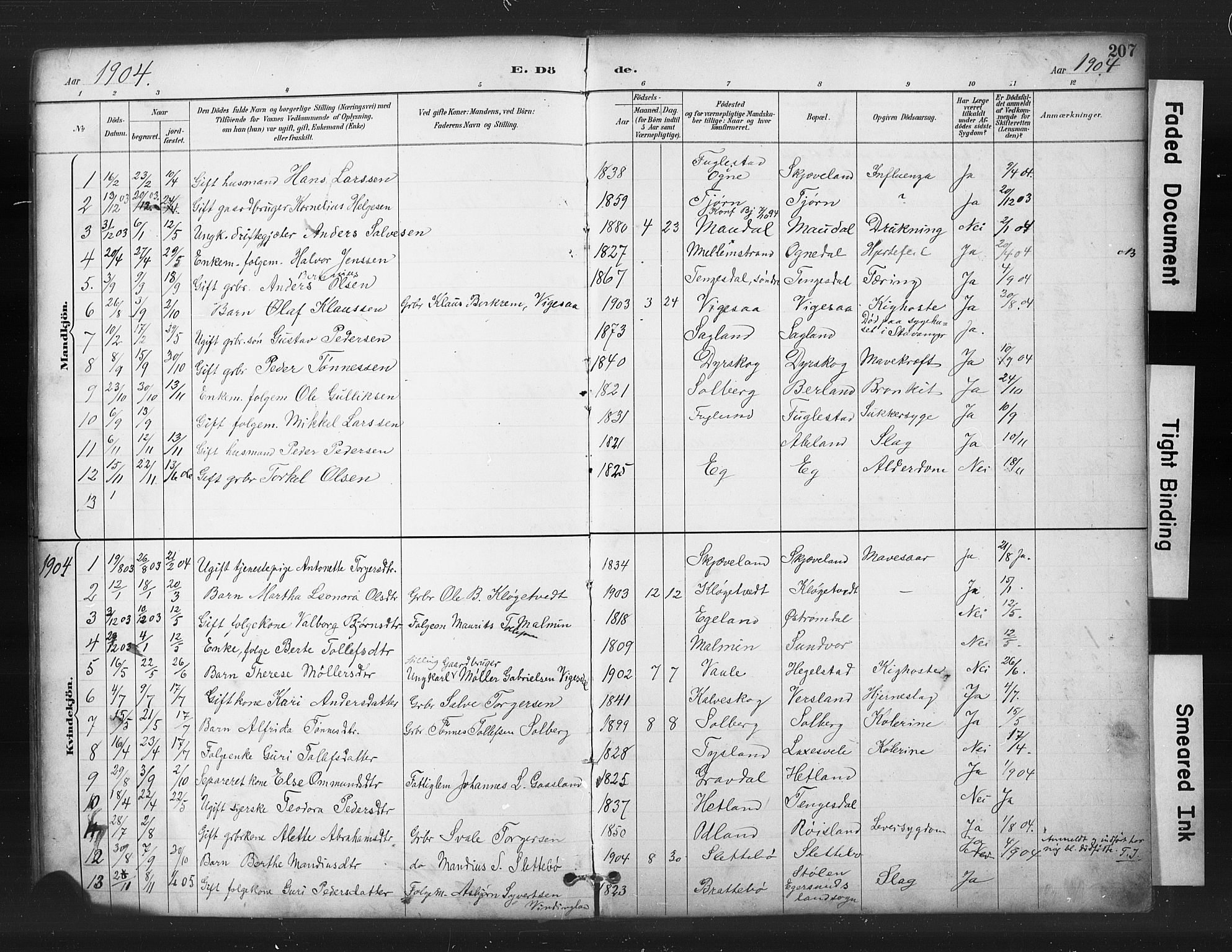 Helleland sokneprestkontor, SAST/A-101810: Parish register (copy) no. B 5, 1887-1908, p. 207