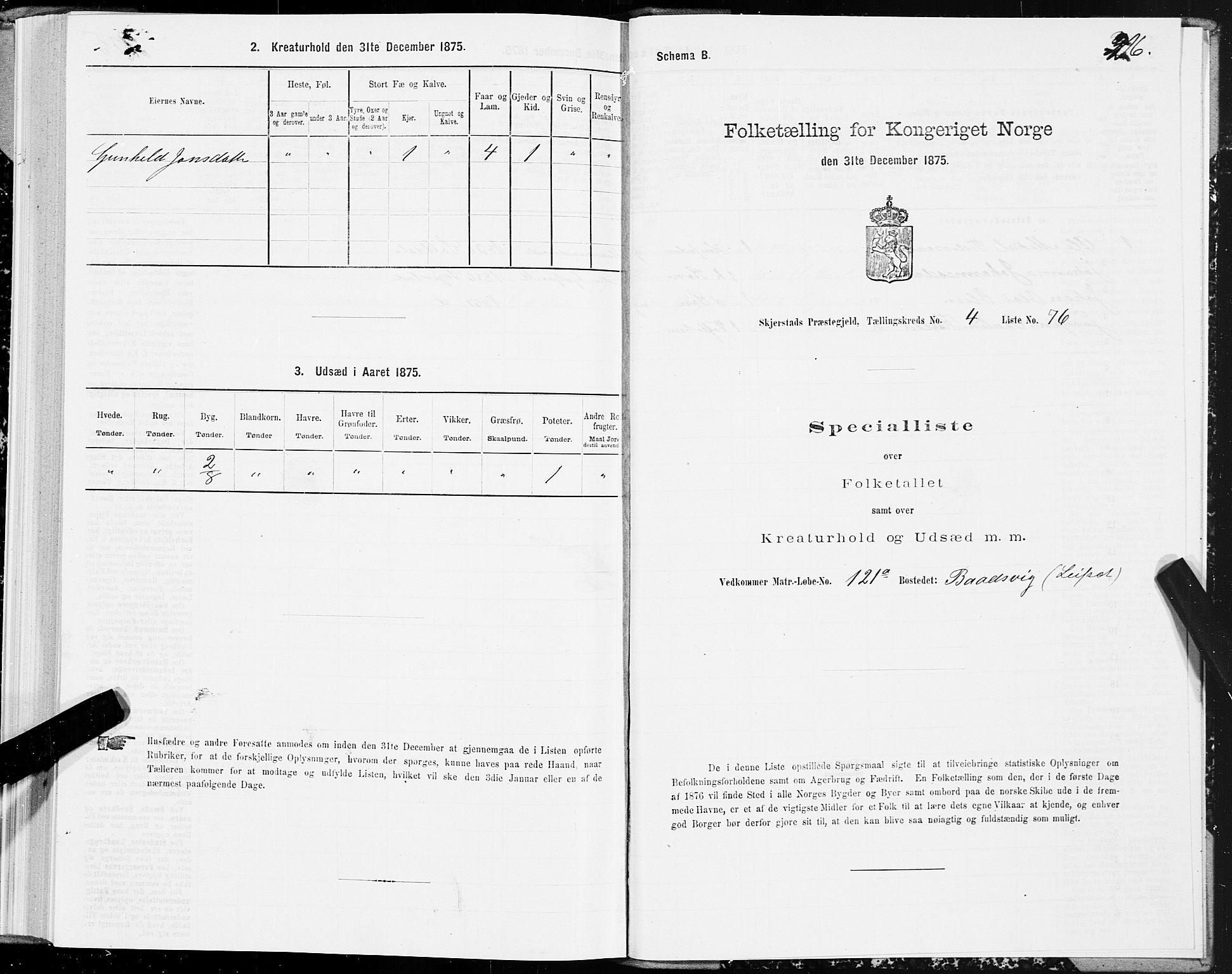 SAT, 1875 census for 1842P Skjerstad, 1875, p. 2216