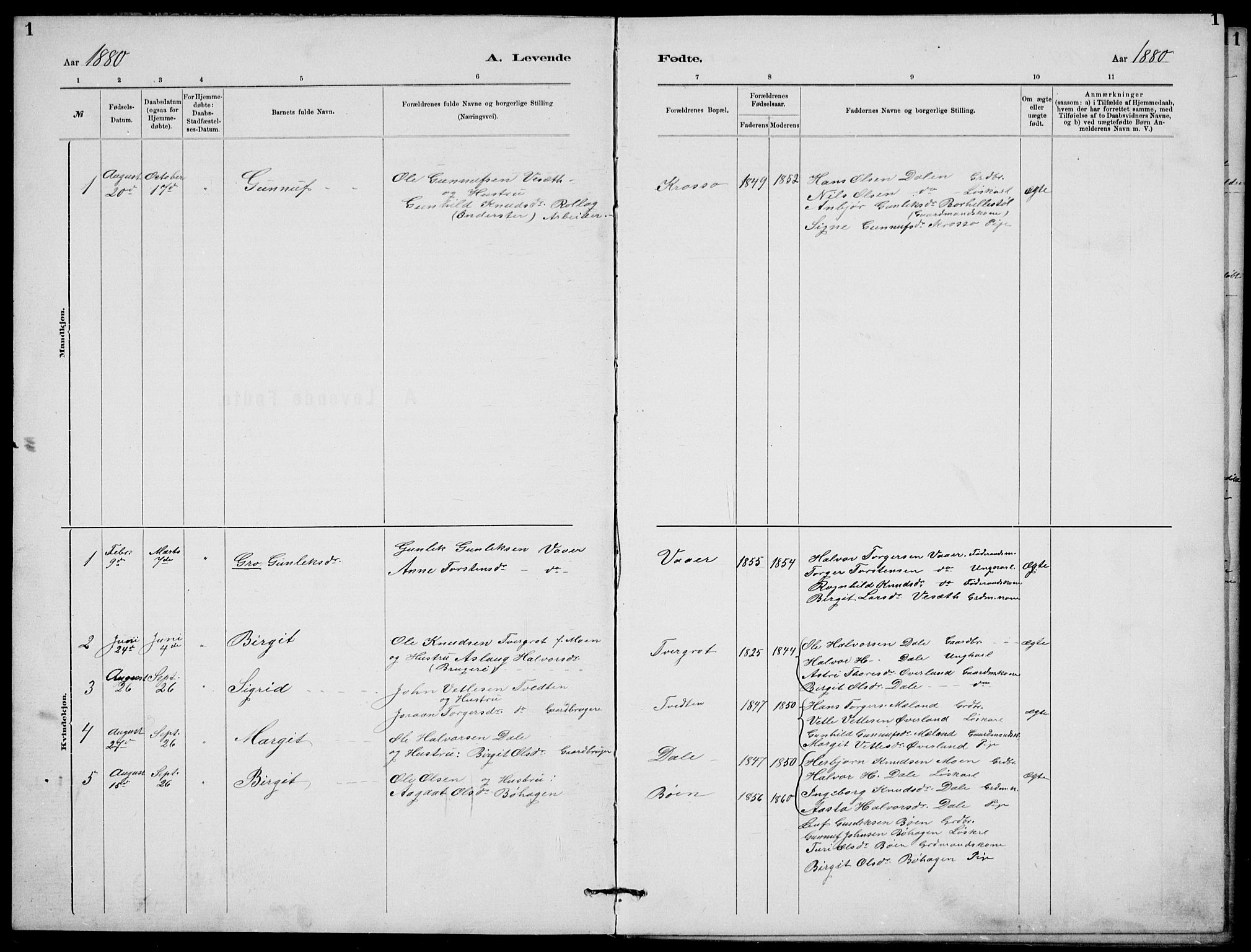 Rjukan kirkebøker, SAKO/A-294/G/Ga/L0001: Parish register (copy) no. 1, 1880-1914, p. 1