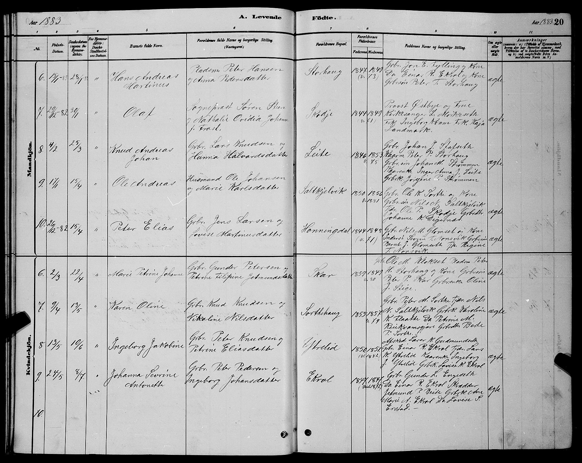 Ministerialprotokoller, klokkerbøker og fødselsregistre - Møre og Romsdal, SAT/A-1454/524/L0365: Parish register (copy) no. 524C06, 1880-1899, p. 20