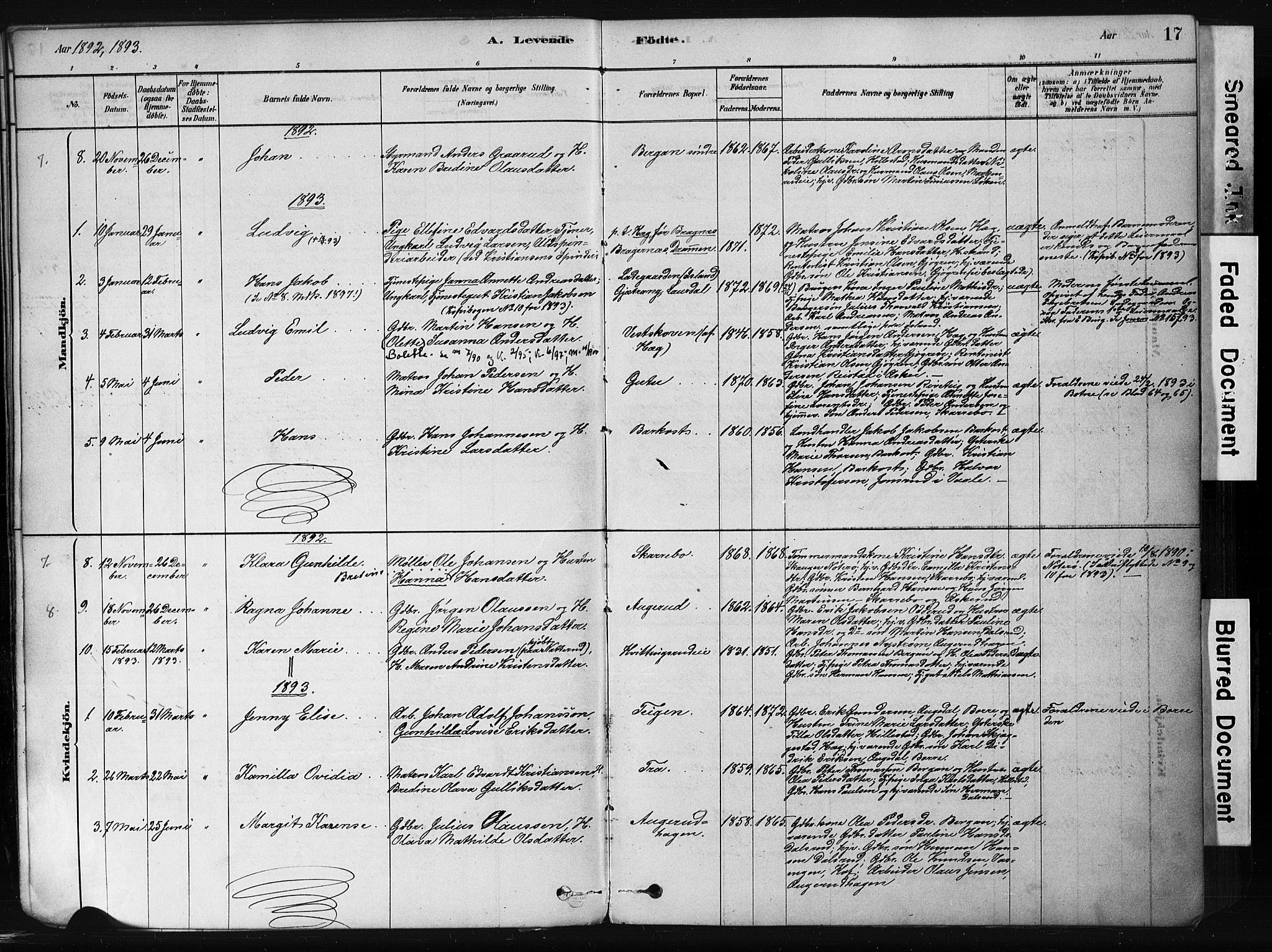 Botne kirkebøker, AV/SAKO-A-340/F/Fb/L0001: Parish register (official) no. II 1, 1878-1902, p. 17