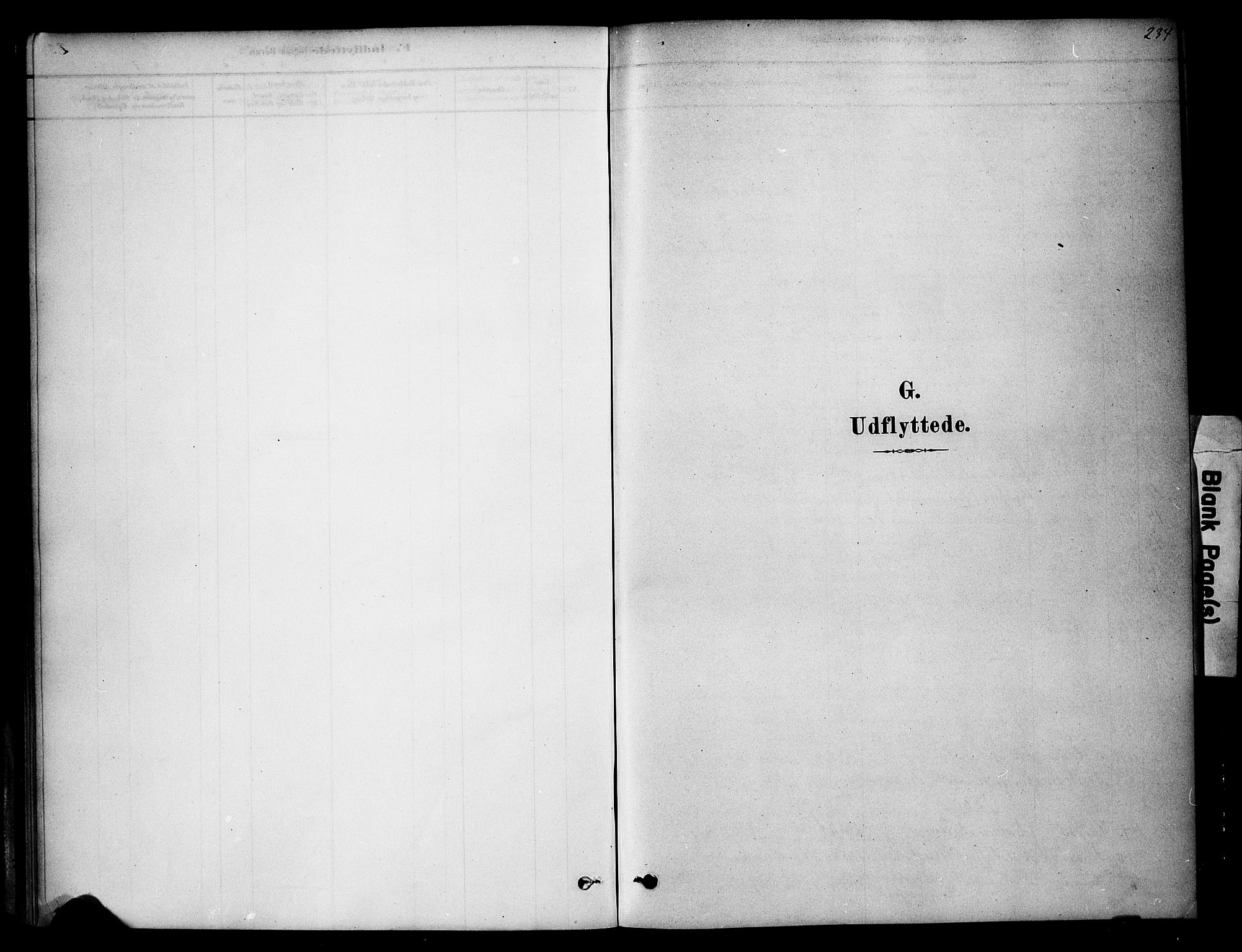 Ringsaker prestekontor, SAH/PREST-014/K/Ka/L0014: Parish register (official) no. 14, 1879-1890, p. 234