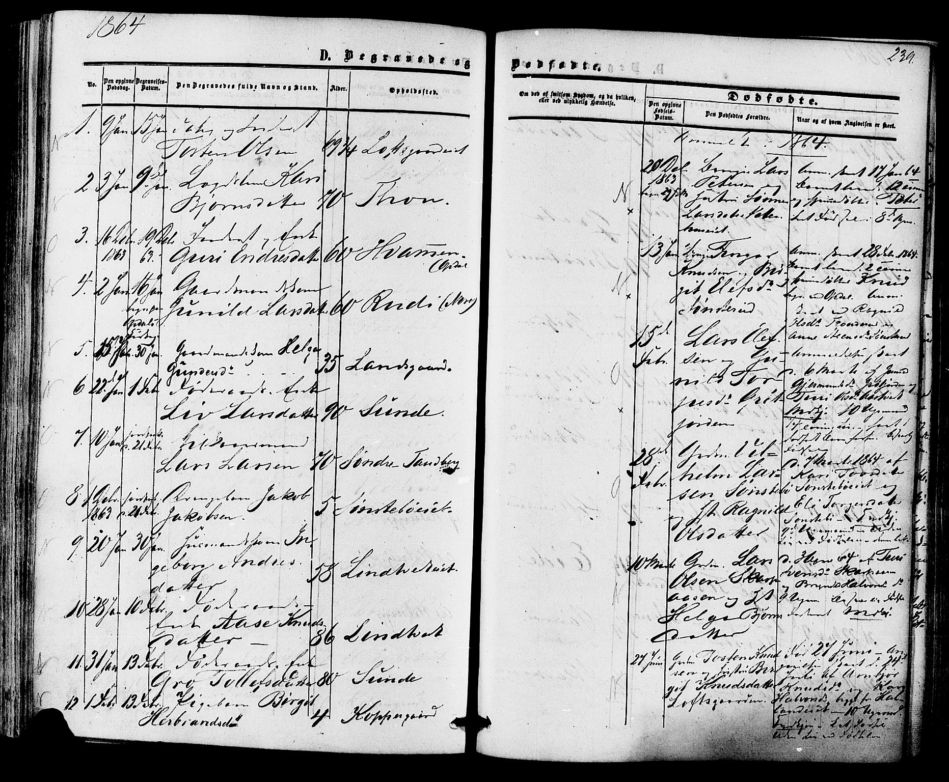 Nore kirkebøker, SAKO/A-238/F/Fa/L0003: Parish register (official) no. I 3, 1858-1866, p. 239