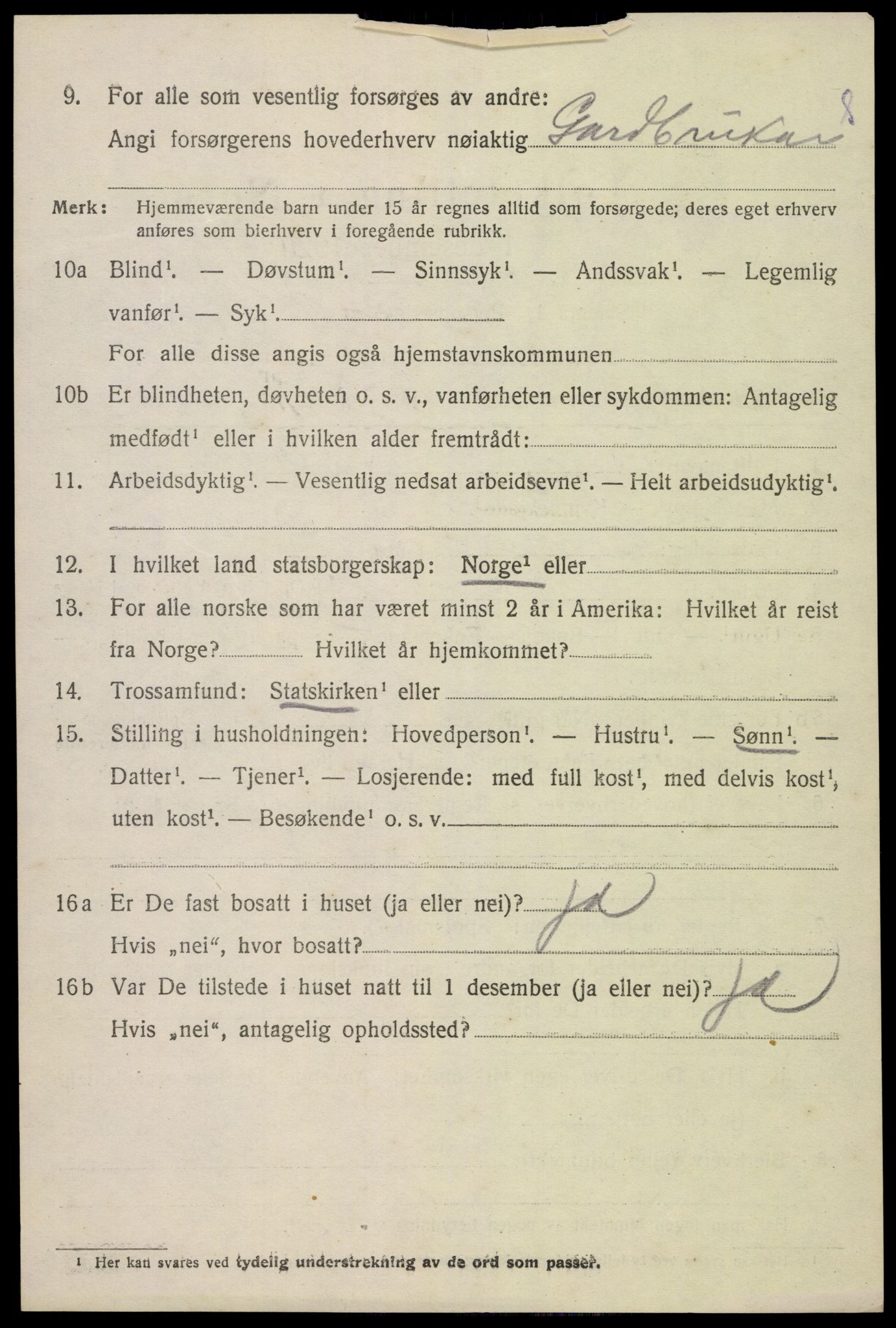 SAK, 1920 census for Hornnes, 1920, p. 3226