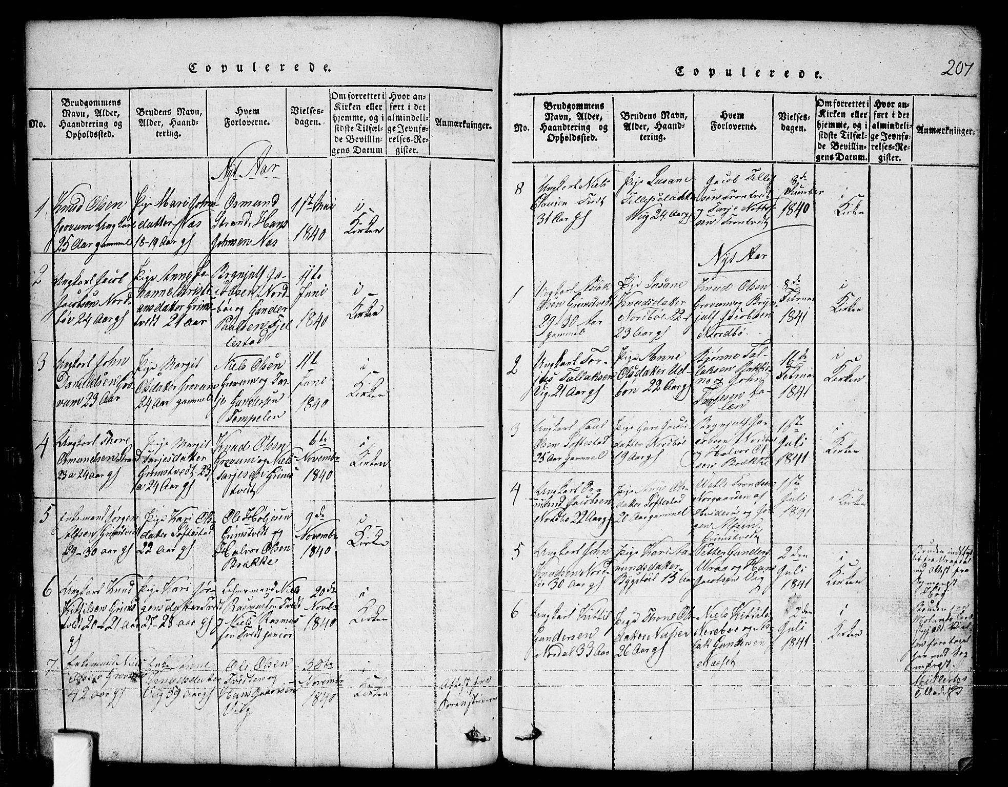 Nissedal kirkebøker, SAKO/A-288/G/Ga/L0001: Parish register (copy) no. I 1, 1814-1860, p. 207