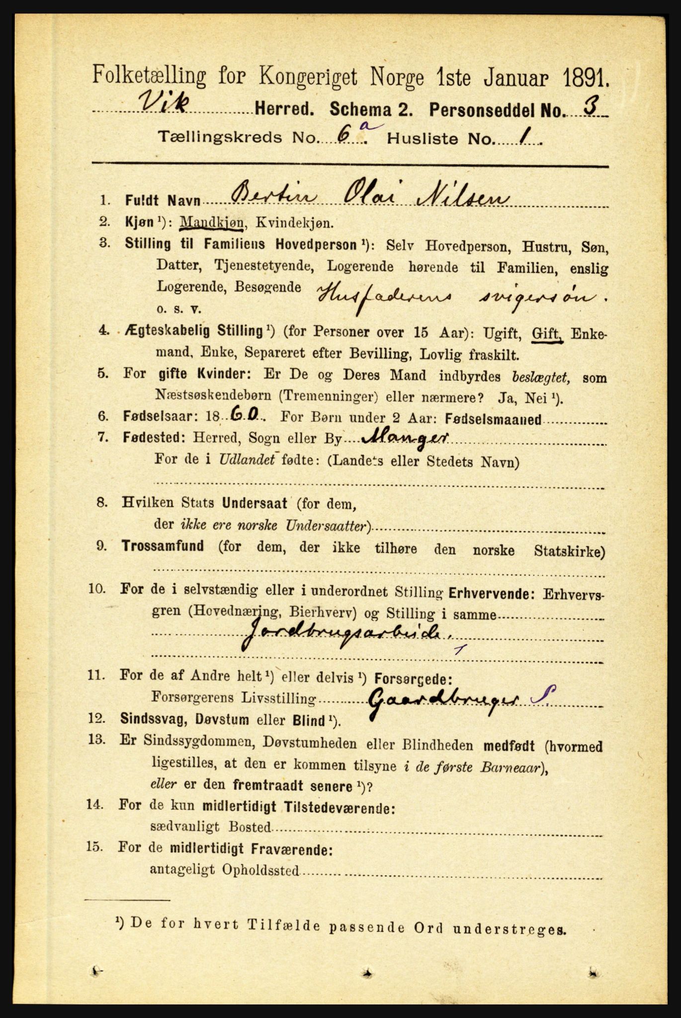 RA, 1891 census for 1417 Vik, 1891, p. 2815