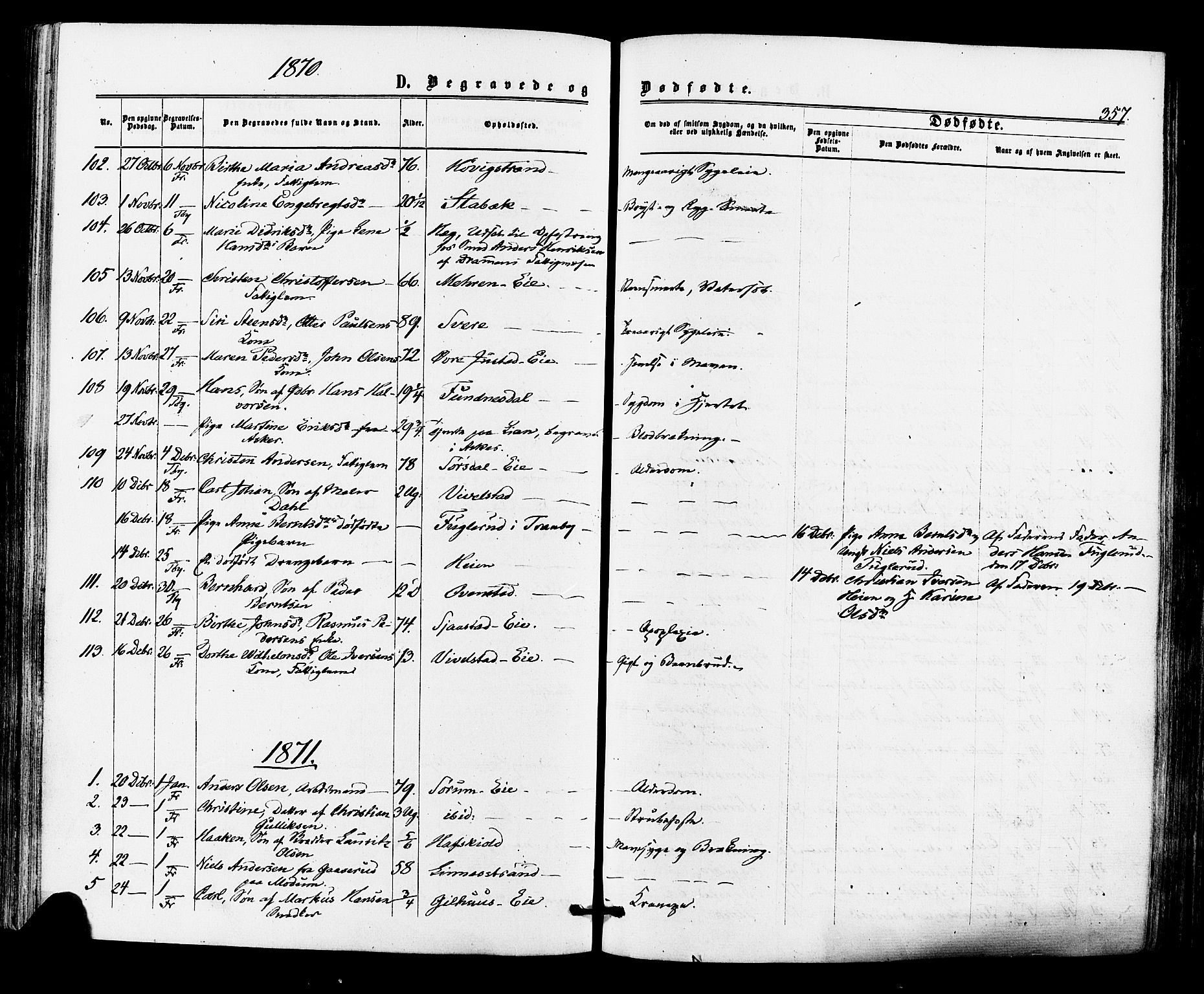 Lier kirkebøker, SAKO/A-230/F/Fa/L0013: Parish register (official) no. I 13, 1865-1874, p. 357