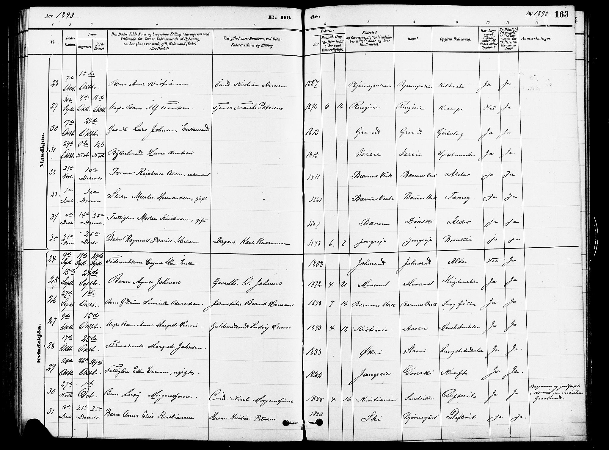 Asker prestekontor Kirkebøker, AV/SAO-A-10256a/F/Fb/L0001: Parish register (official) no. II 1, 1879-1895, p. 163