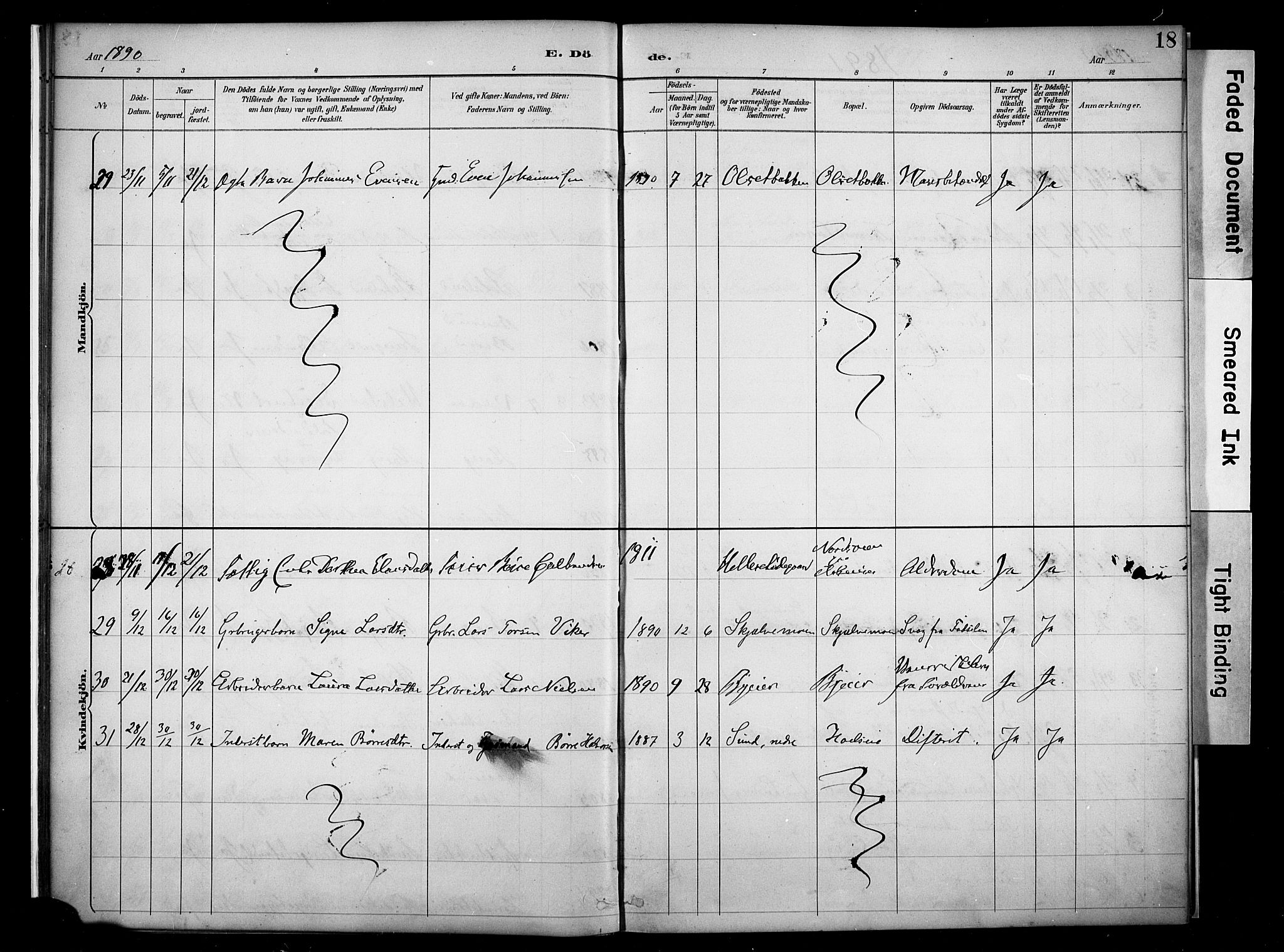 Nes prestekontor, Hedmark, AV/SAH-PREST-020/K/Ka/L0011: Parish register (official) no. 11, 1887-1905, p. 18