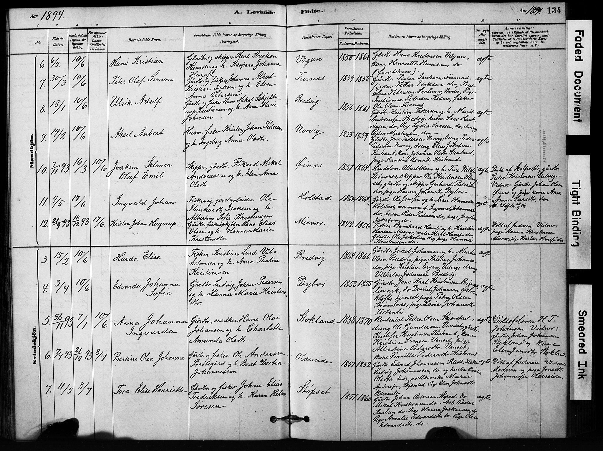 Ministerialprotokoller, klokkerbøker og fødselsregistre - Nordland, AV/SAT-A-1459/852/L0754: Parish register (copy) no. 852C05, 1878-1894, p. 134