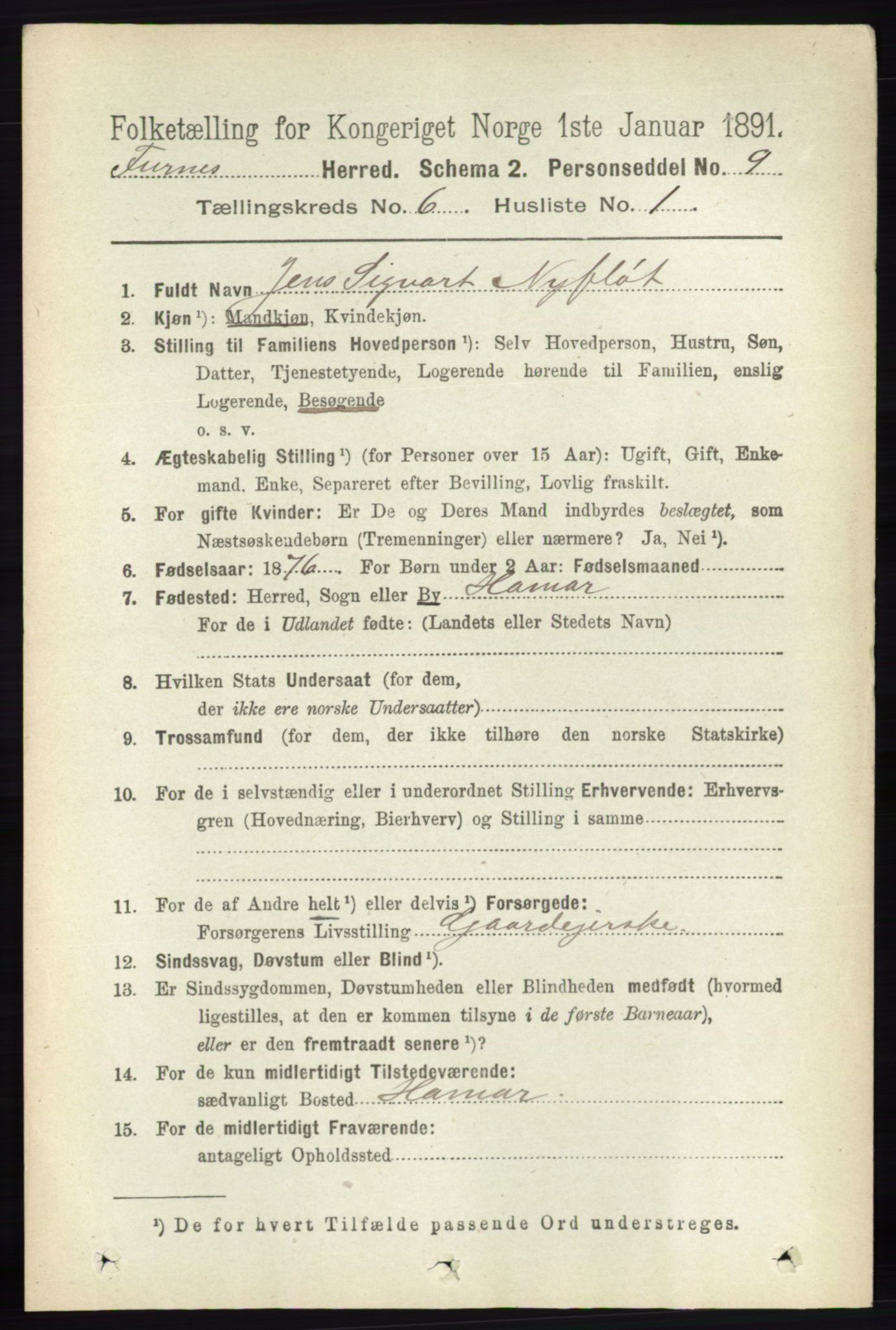 RA, Census 1891 for 0413 Furnes herred, 1891, p. 4168