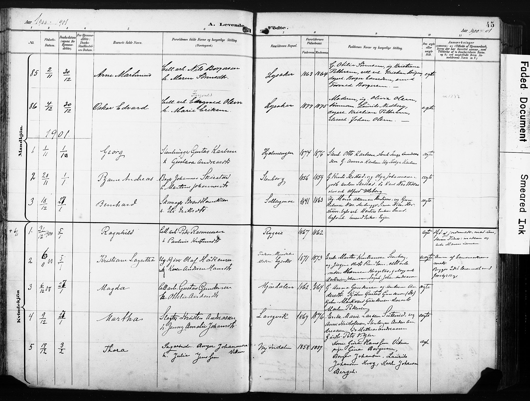 Nedre Eiker kirkebøker, AV/SAKO-A-612/F/Fa/L0005: Parish register (official) no. 5, 1898-1905, p. 45