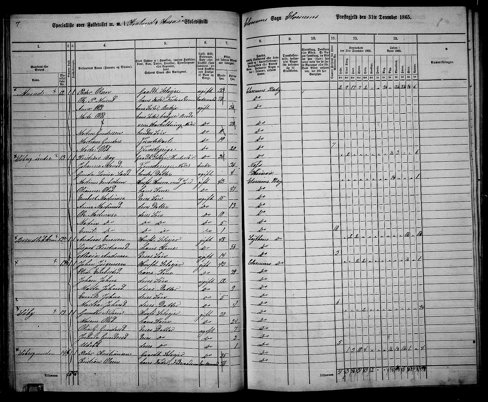 RA, 1865 census for Elverum, 1865, p. 44