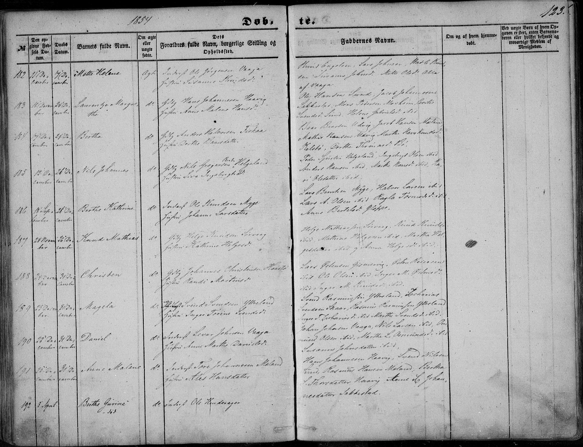 Avaldsnes sokneprestkontor, SAST/A -101851/H/Ha/Haa/L0008: Parish register (official) no. A 8, 1847-1857, p. 123