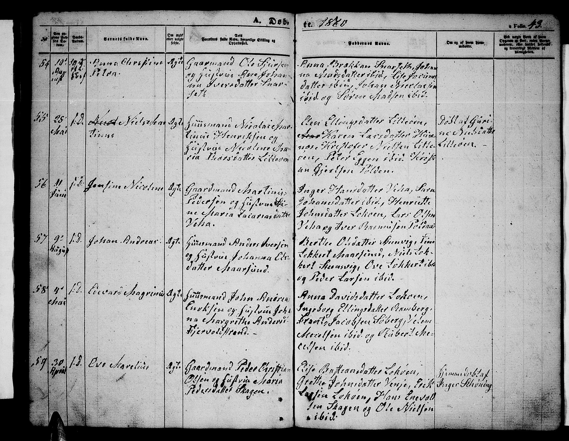 Ministerialprotokoller, klokkerbøker og fødselsregistre - Nordland, AV/SAT-A-1459/891/L1313: Parish register (copy) no. 891C02, 1856-1870, p. 43