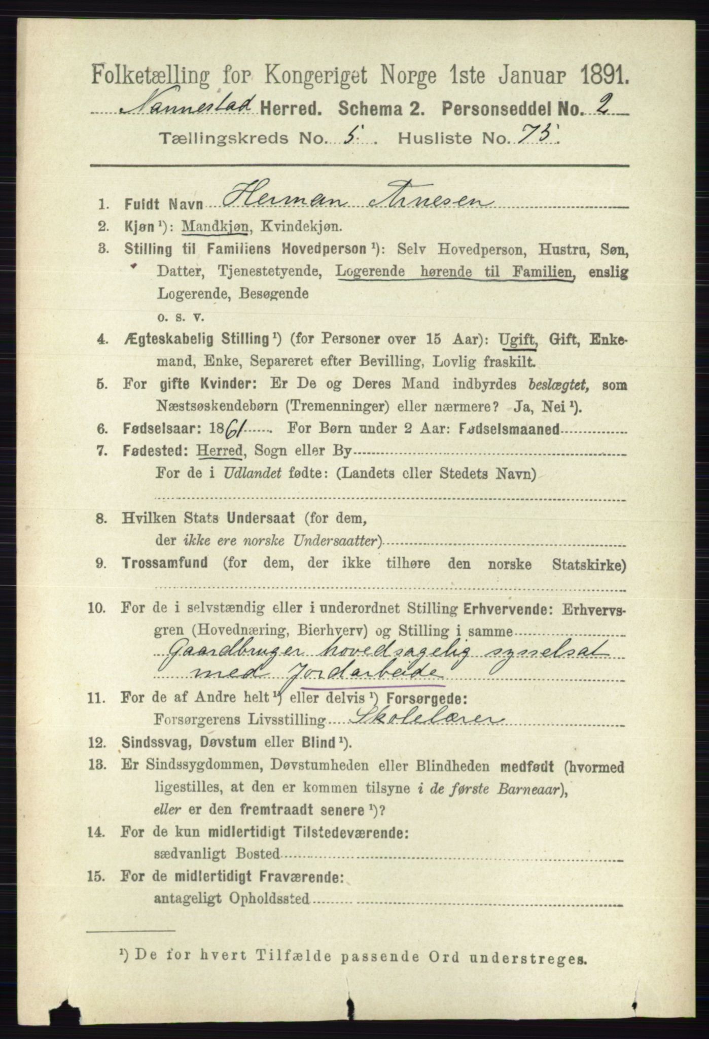 RA, 1891 census for 0238 Nannestad, 1891, p. 2995