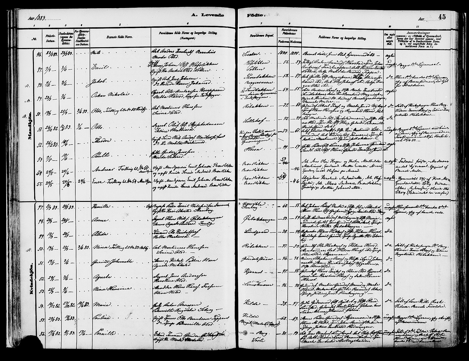 Elverum prestekontor, AV/SAH-PREST-044/H/Ha/Haa/L0013: Parish register (official) no. 13, 1880-1890, p. 45